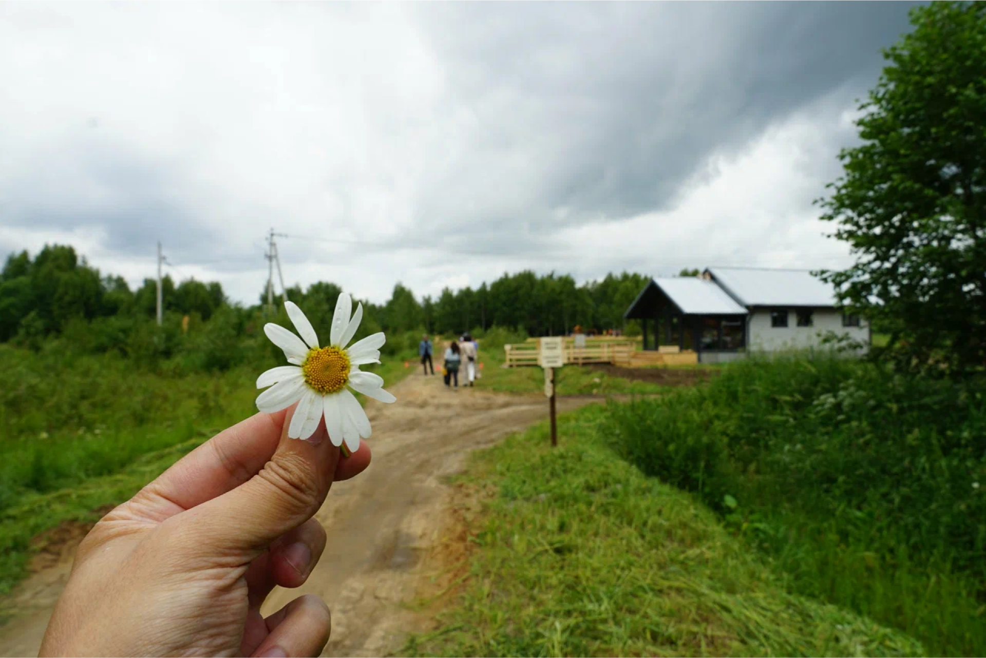 Усадьба Добрынино — Изображение №19 — Брендинг, Графика на Dprofile