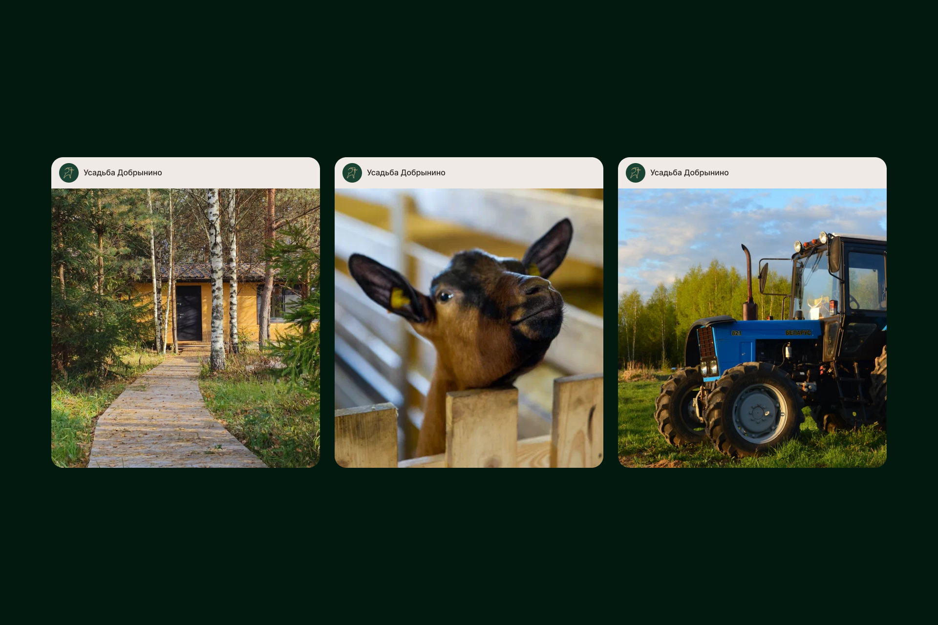 Усадьба Добрынино — Изображение №5 — Брендинг, Графика на Dprofile