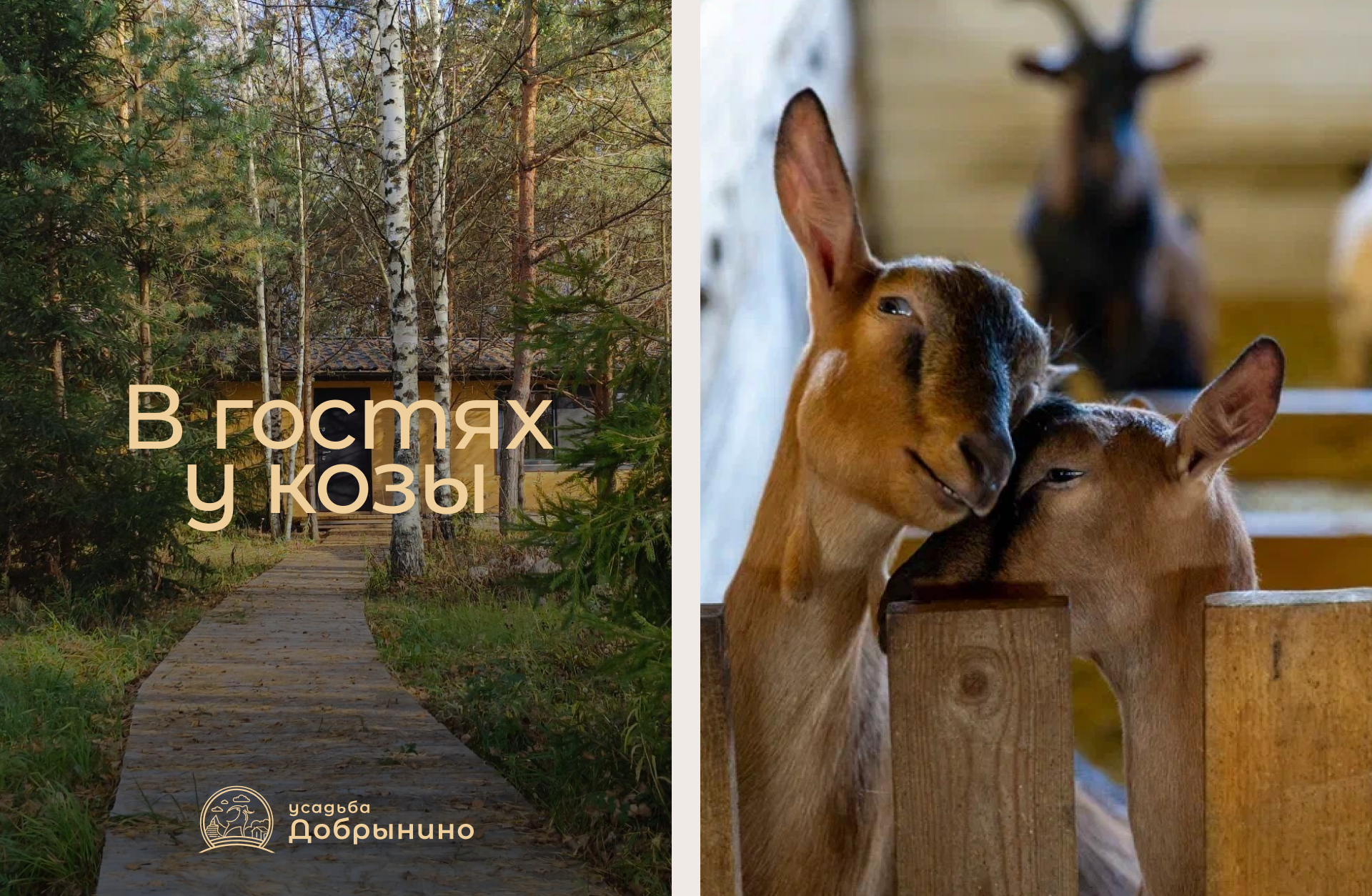 Усадьба Добрынино — Изображение №10 — Брендинг, Графика на Dprofile