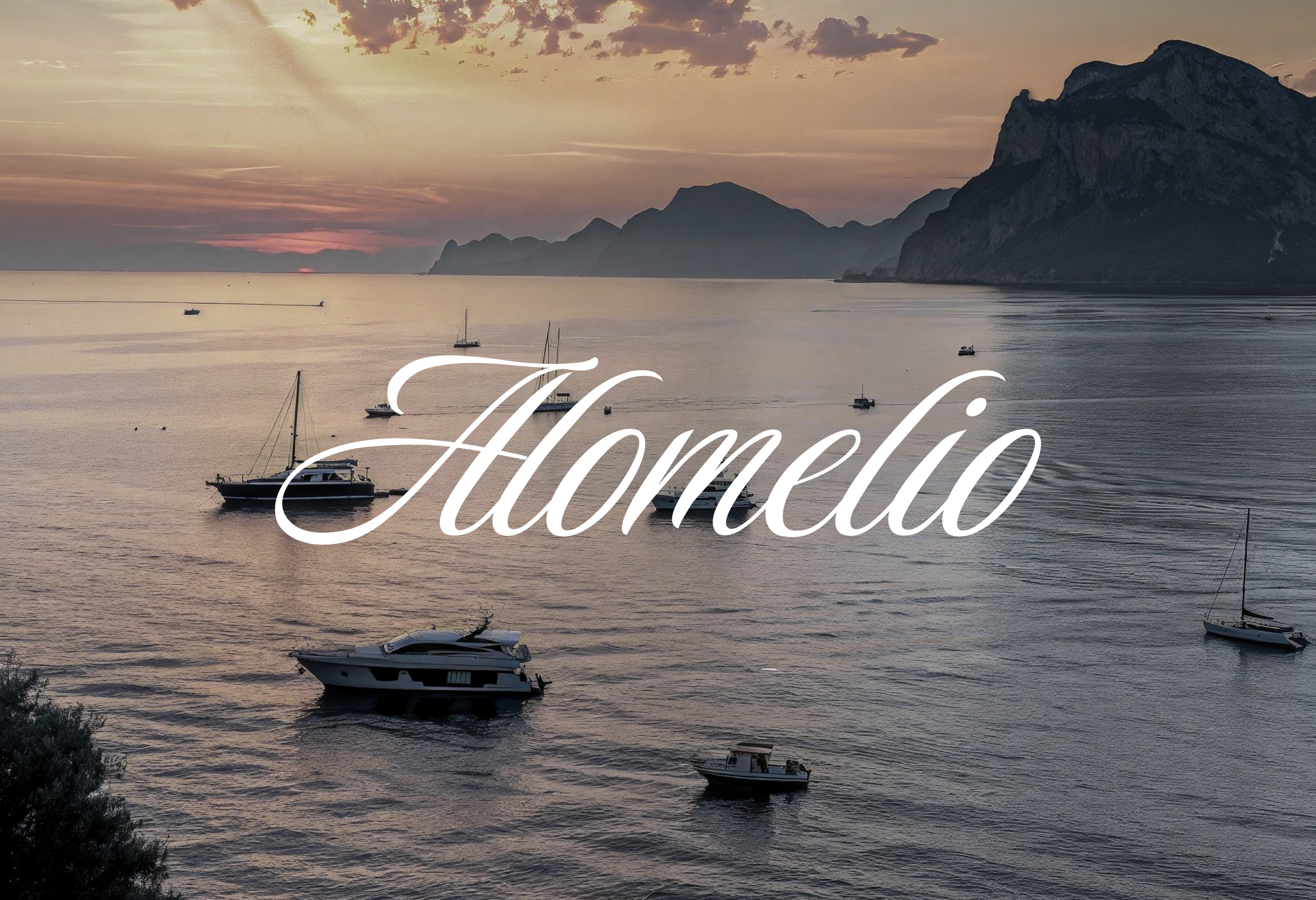 Alomelio | бренд одежды — Изображение №1 — Брендинг на Dprofile