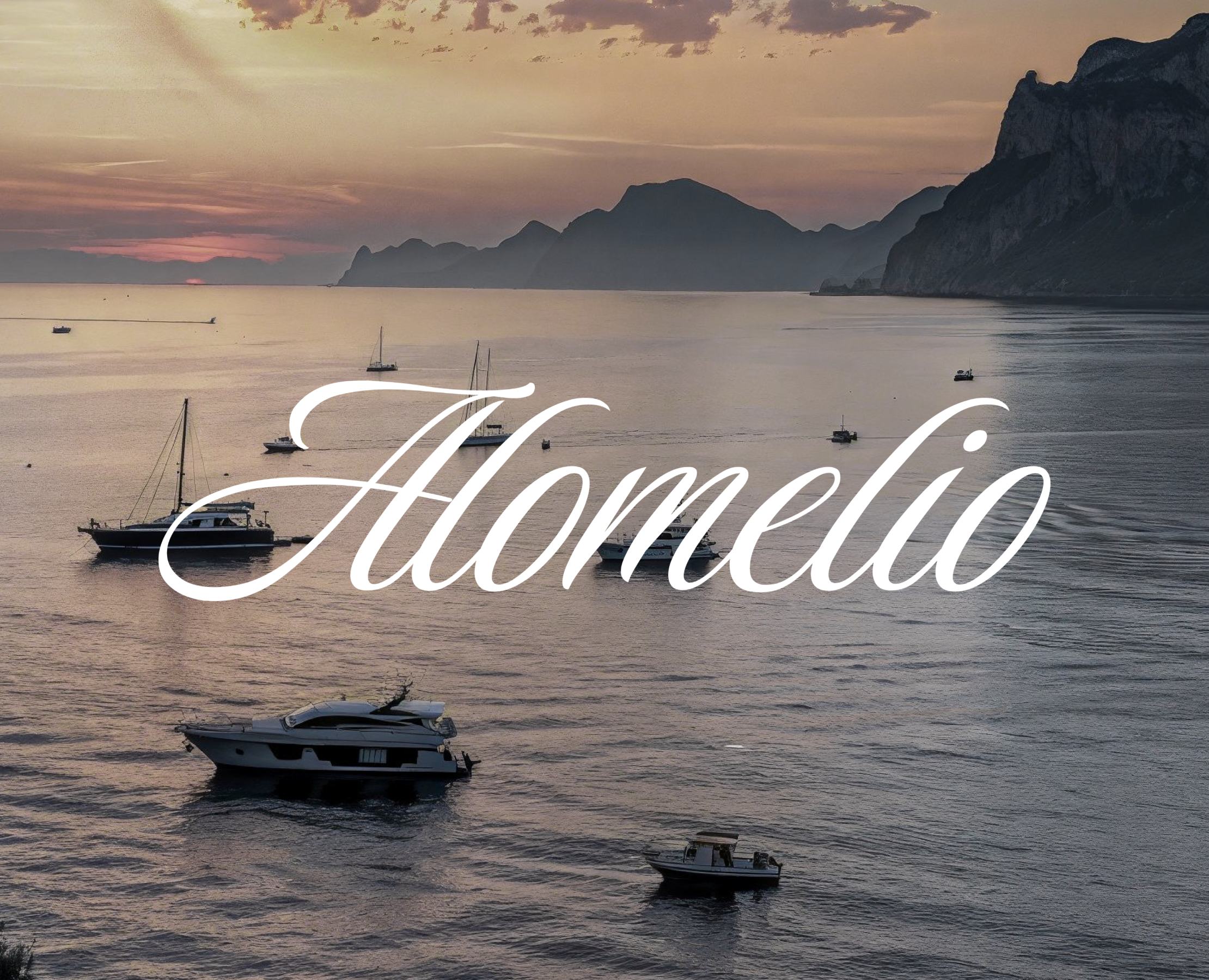 Alomelio | бренд одежды — Брендинг на Dprofile