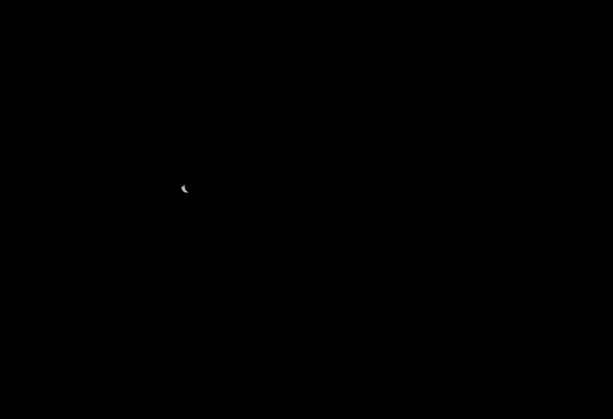Alomelio | бренд одежды — Изображение №2 — Брендинг на Dprofile