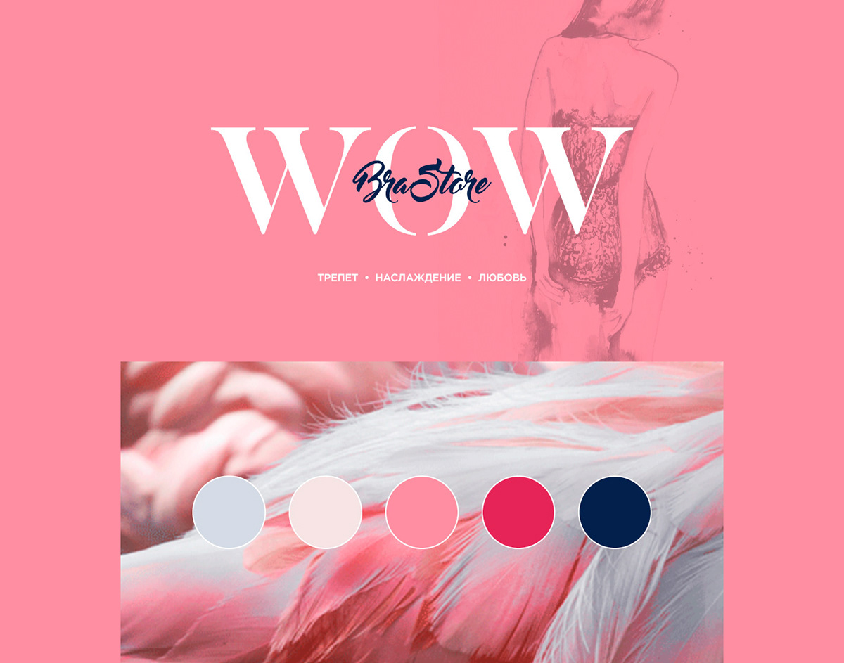 WOW BraStore — Изображение №1 — Брендинг на Dprofile