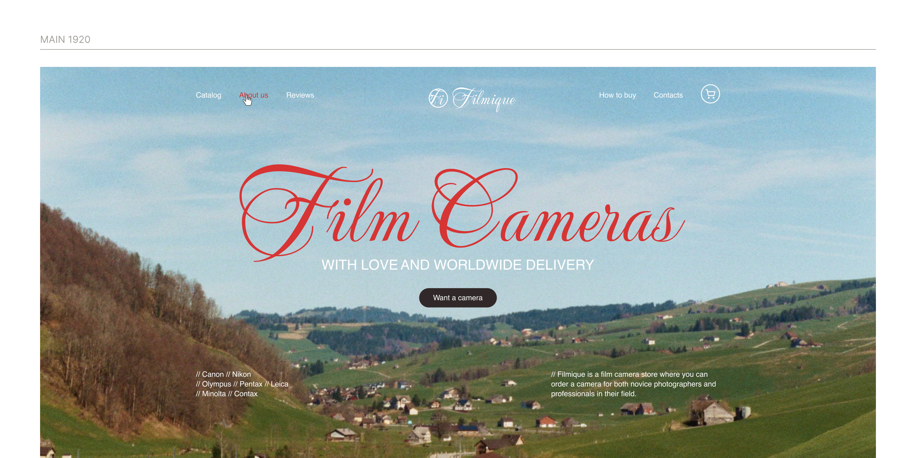 Магазин пленочных фотоаппаратов / Landing Page — Изображение №4 — Интерфейсы, Анимация на Dprofile