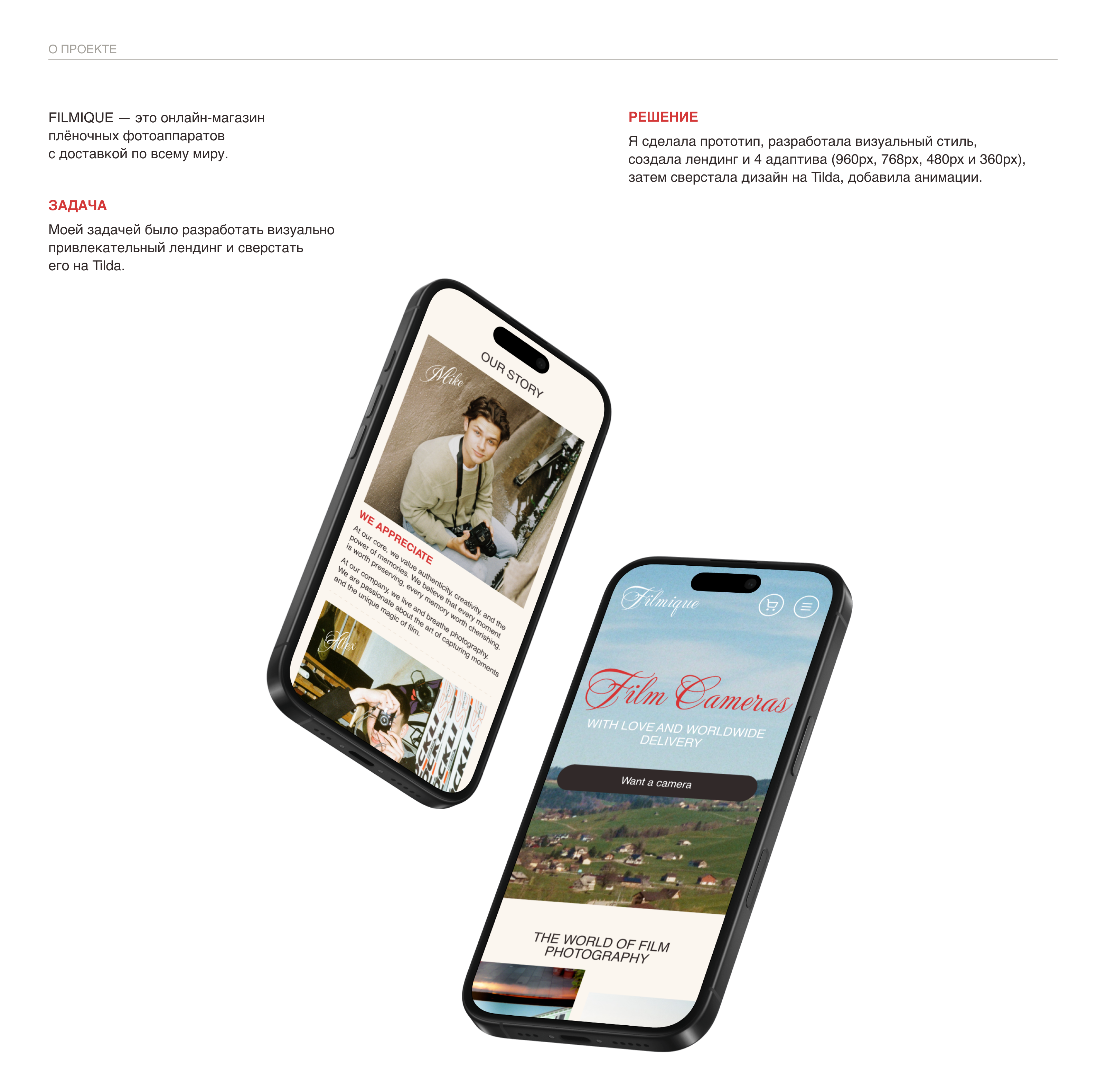 Магазин пленочных фотоаппаратов / Landing Page — Изображение №2 — Интерфейсы, Анимация на Dprofile