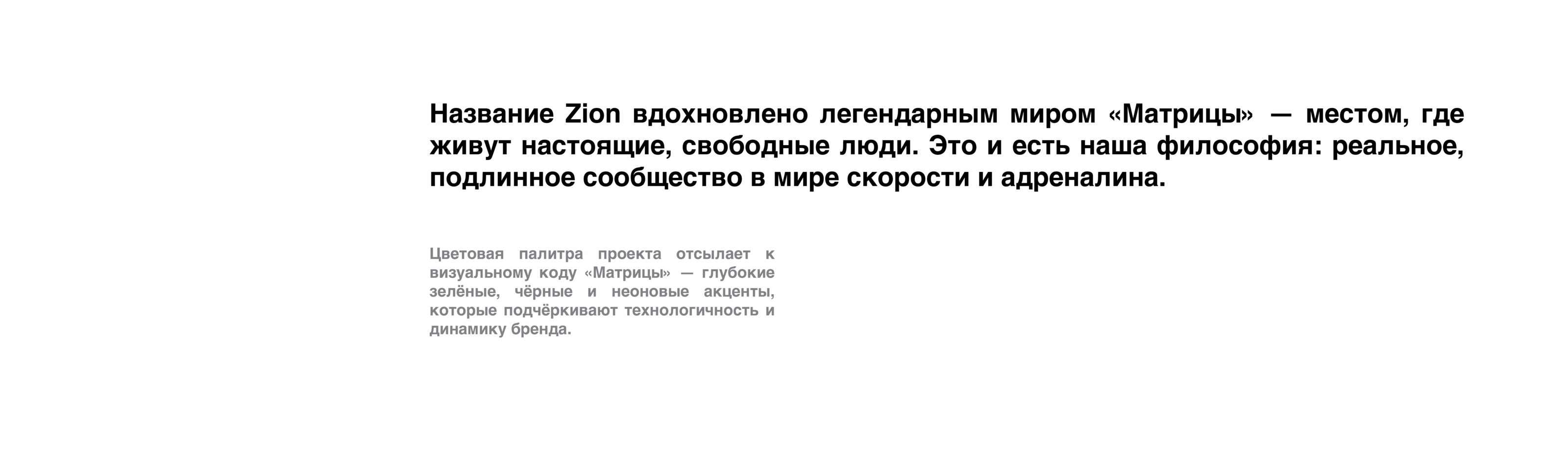 Zion Racing — Изображение №5 — Брендинг на Dprofile