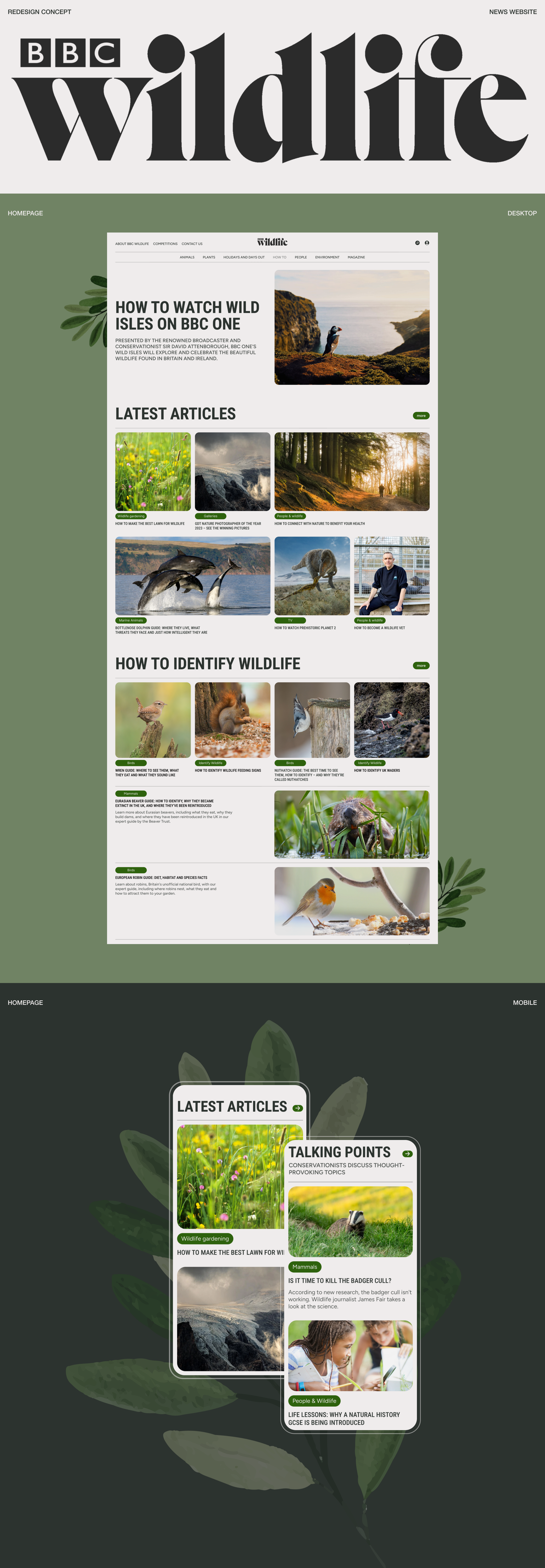 BBC Wildlife Redesign Concept — Изображение №1 — Интерфейсы на Dprofile