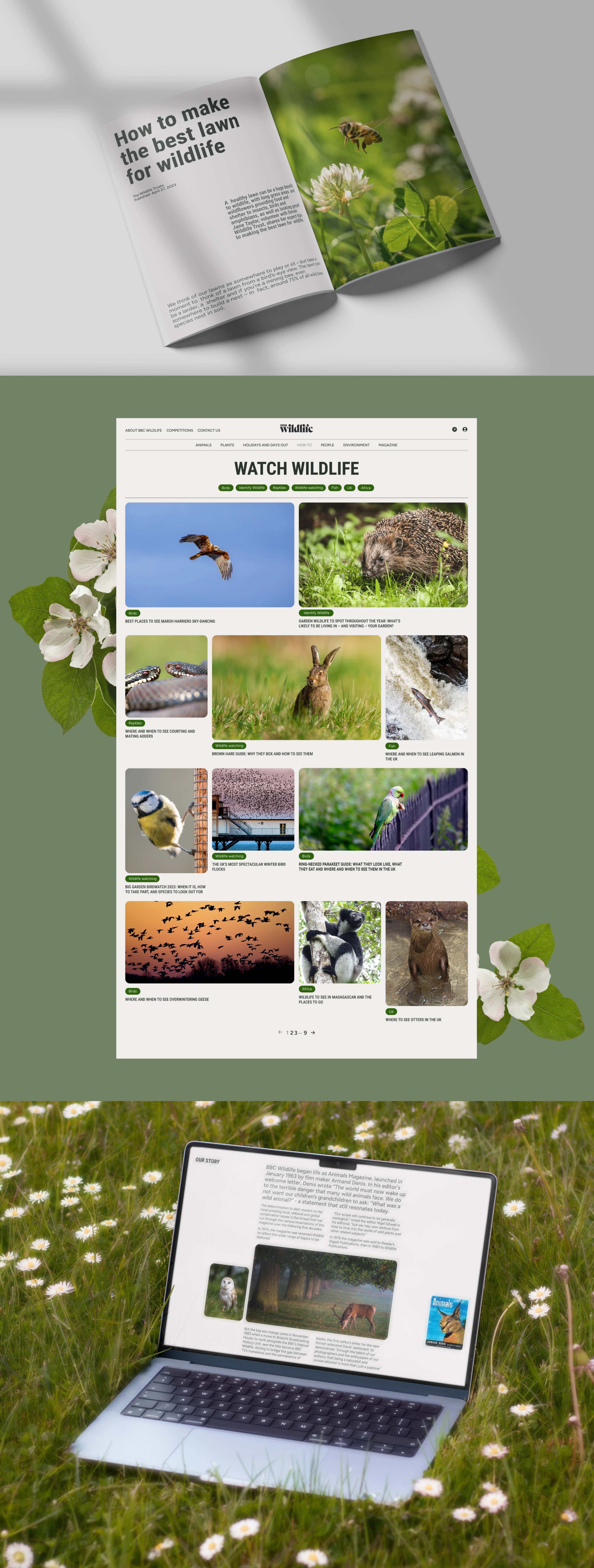 BBC Wildlife Redesign Concept — Изображение №3 — Интерфейсы на Dprofile