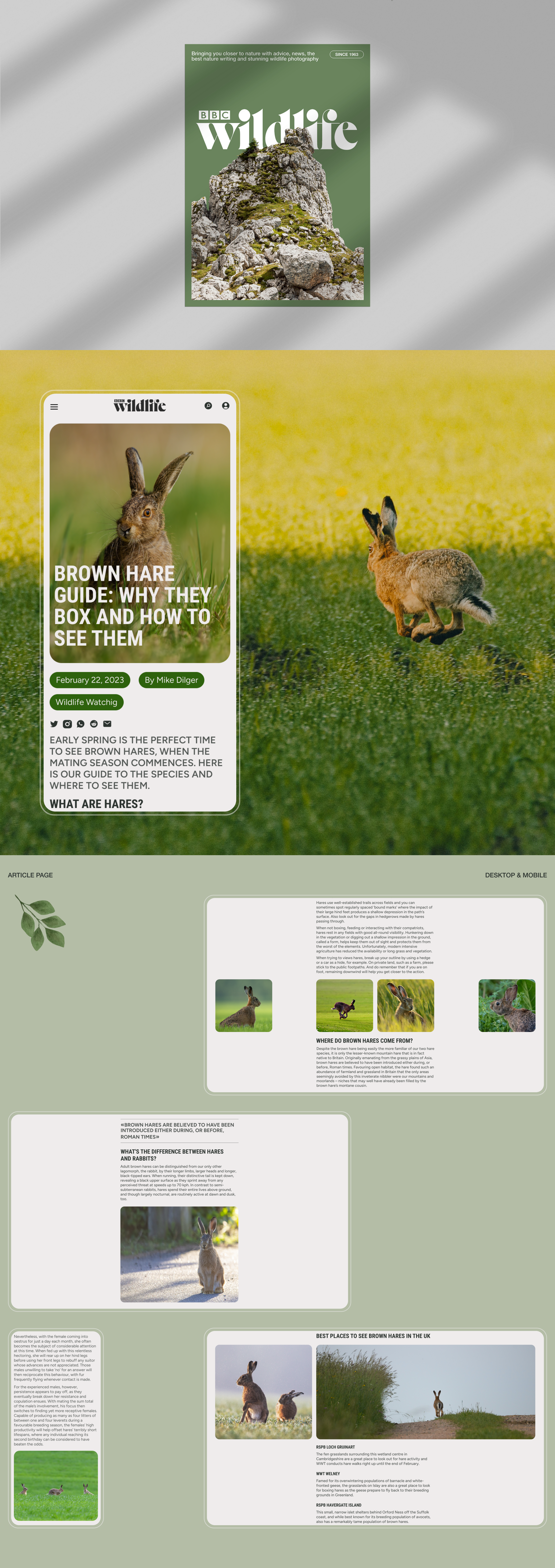 BBC Wildlife Redesign Concept — Изображение №2 — Интерфейсы на Dprofile