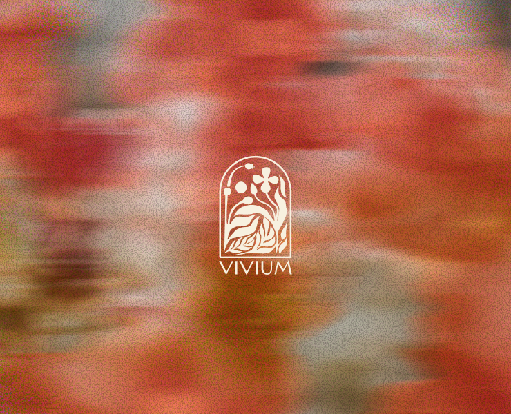 VIVIUM: уникальные комнатные растения на Dprofile