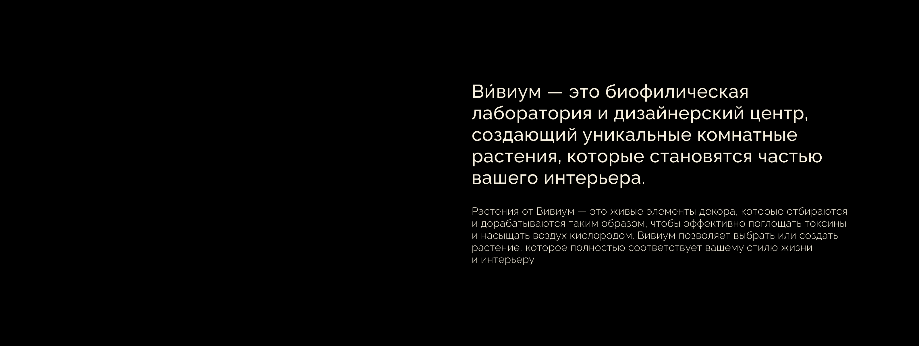 VIVIUM: уникальные комнатные растения — Изображение №2 — Брендинг, Графика на Dprofile