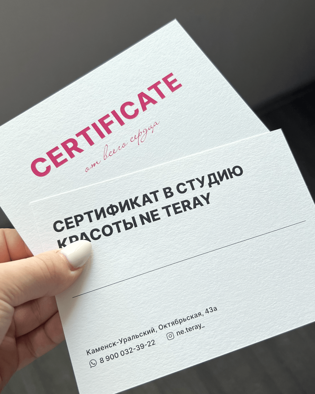 Студия красоты Ne Teray — Изображение №4 — Брендинг, Графика на Dprofile