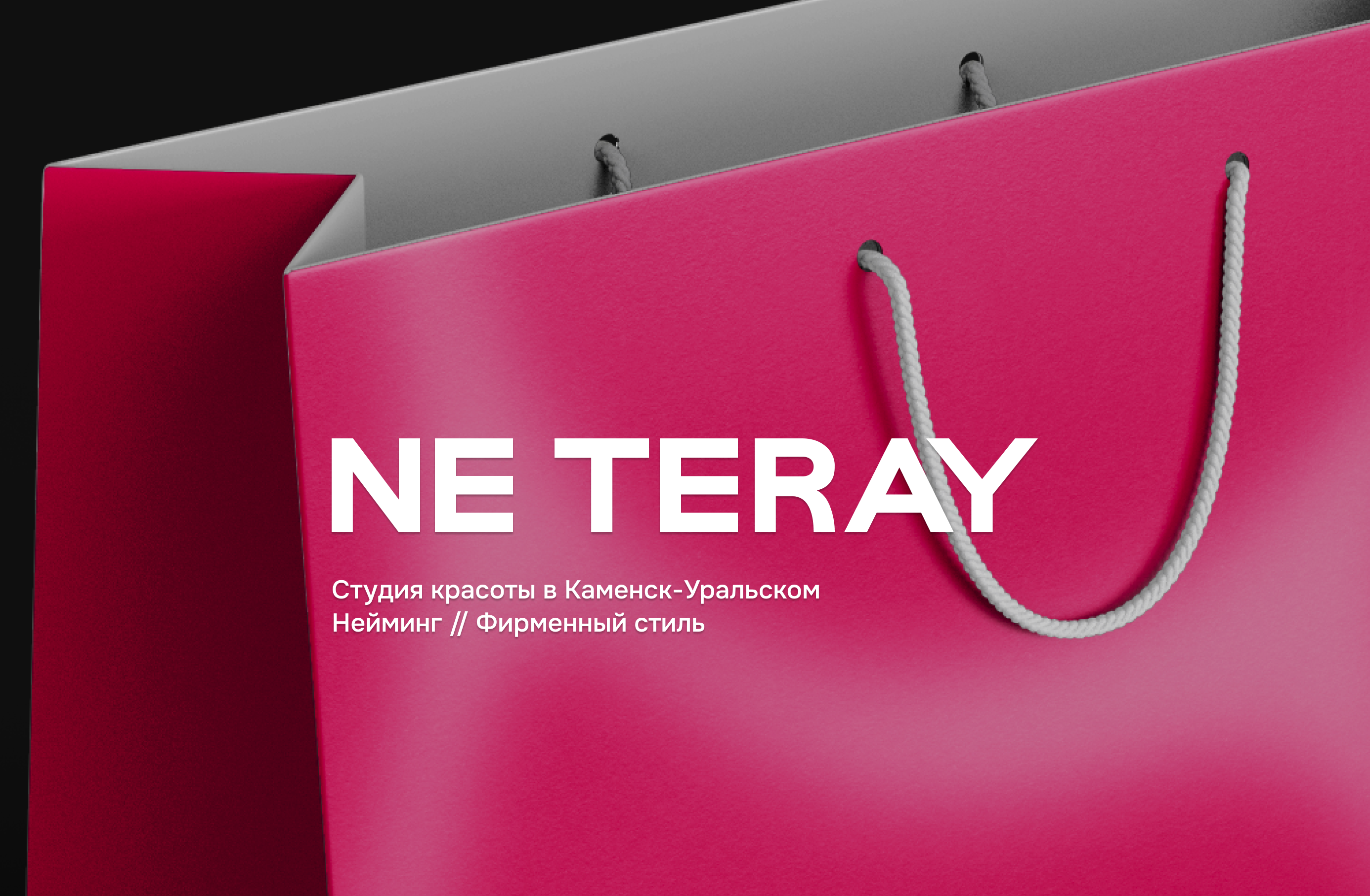 Студия красоты Ne Teray — Изображение №1 — Брендинг, Графика на Dprofile