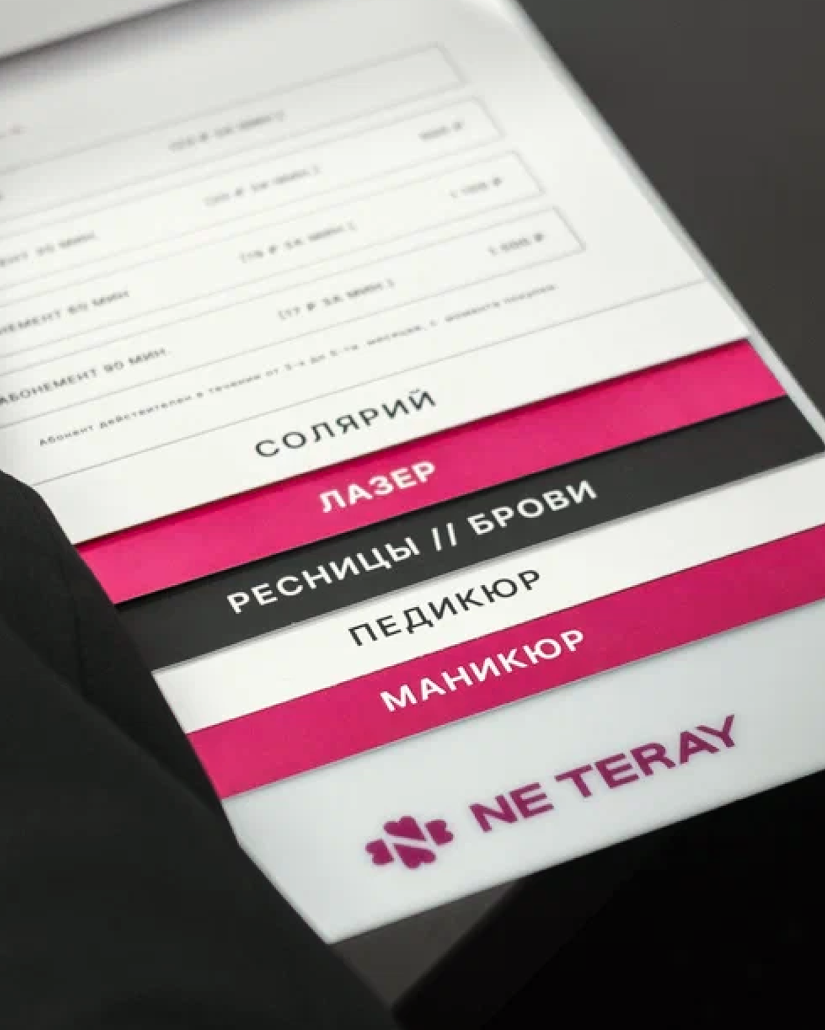 Студия красоты Ne Teray — Изображение №12 — Брендинг, Графика на Dprofile