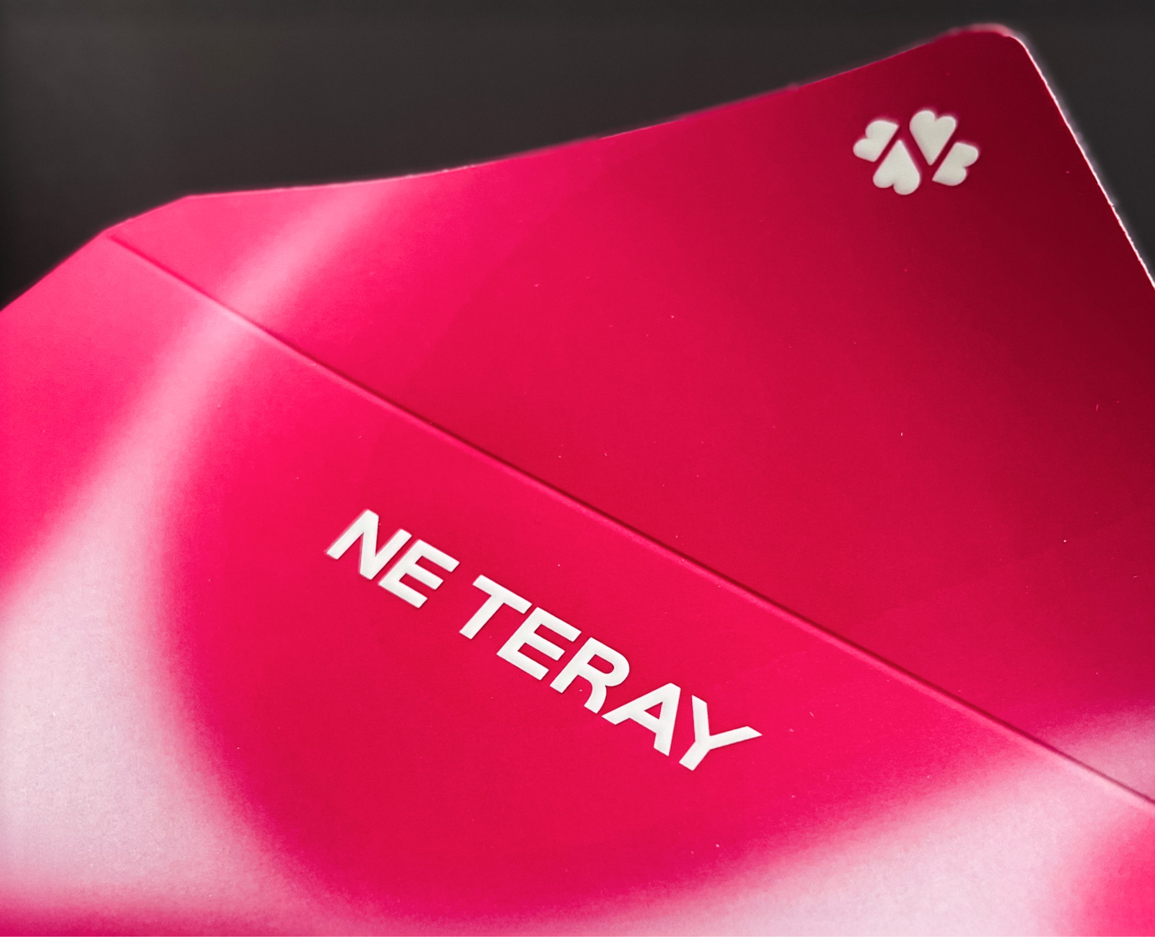 Студия красоты Ne Teray — Брендинг, Графика на Dprofile