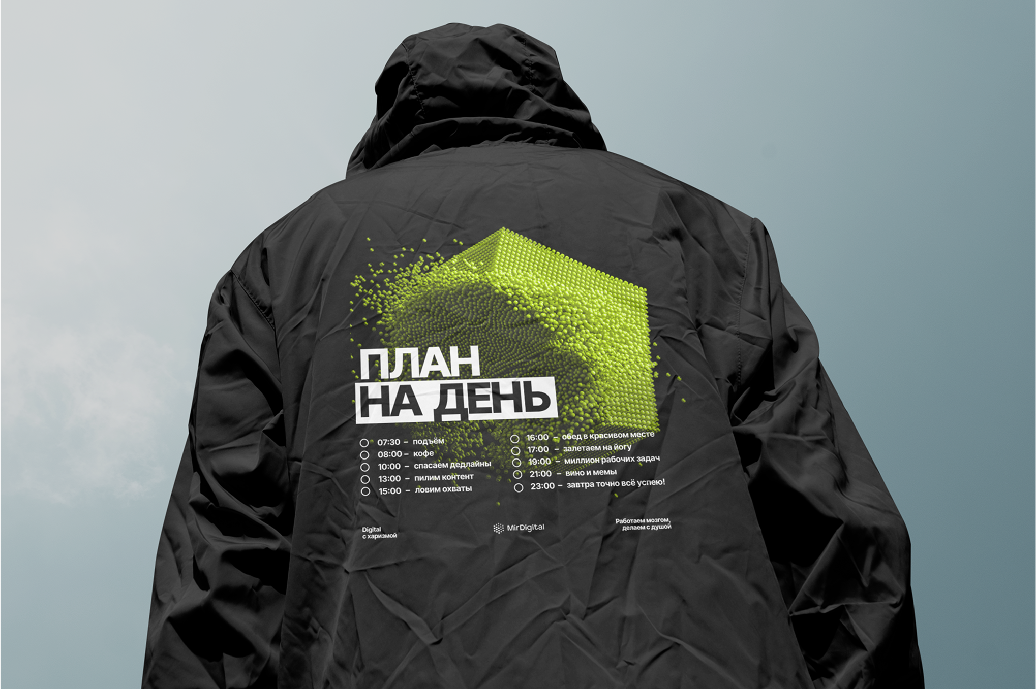 MirDigital | диджитал агентство — Изображение №5 — Интерфейсы, Брендинг на Dprofile