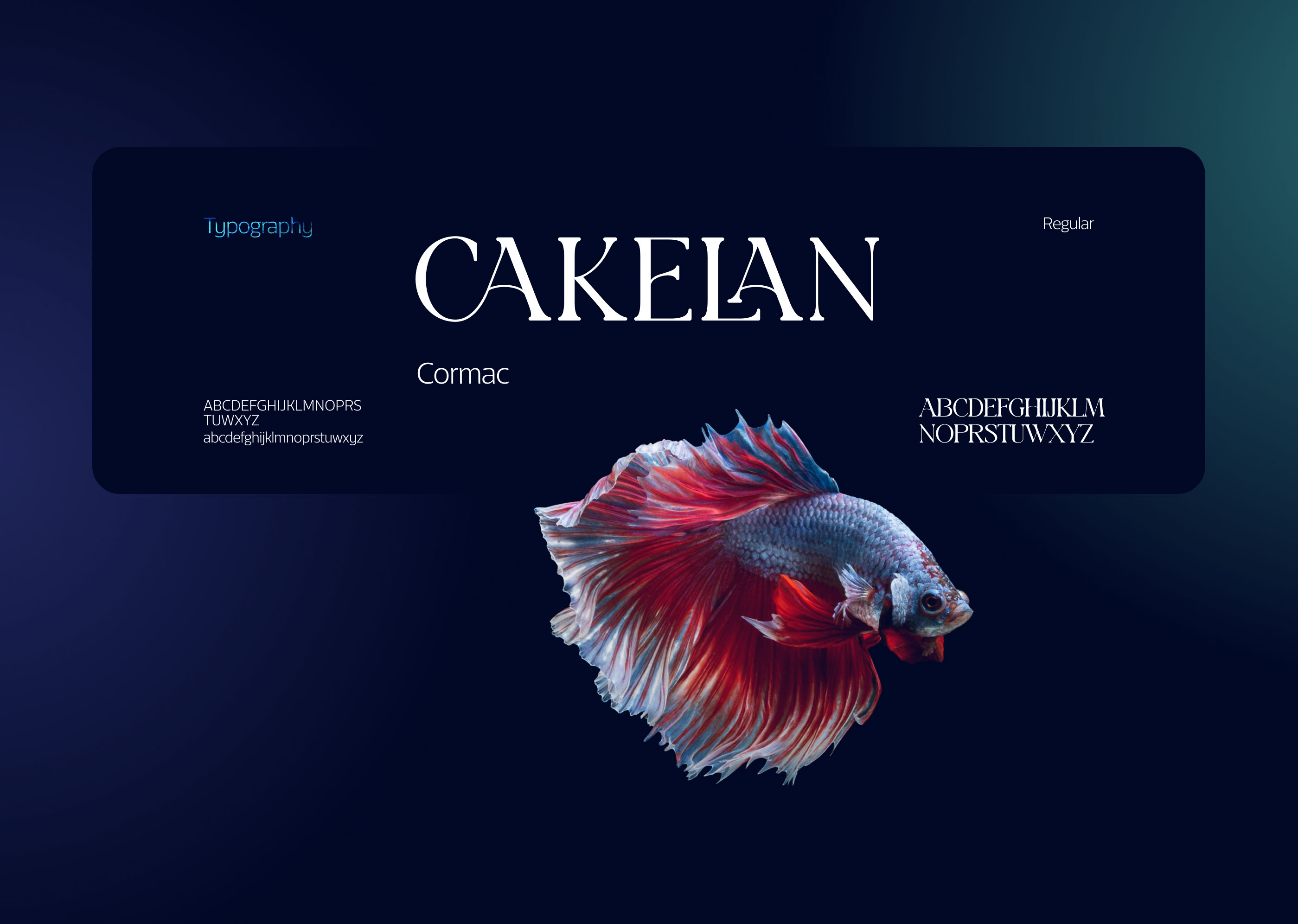 Landing Page Design for divers — Изображение №4 — Интерфейсы, Графика на Dprofile