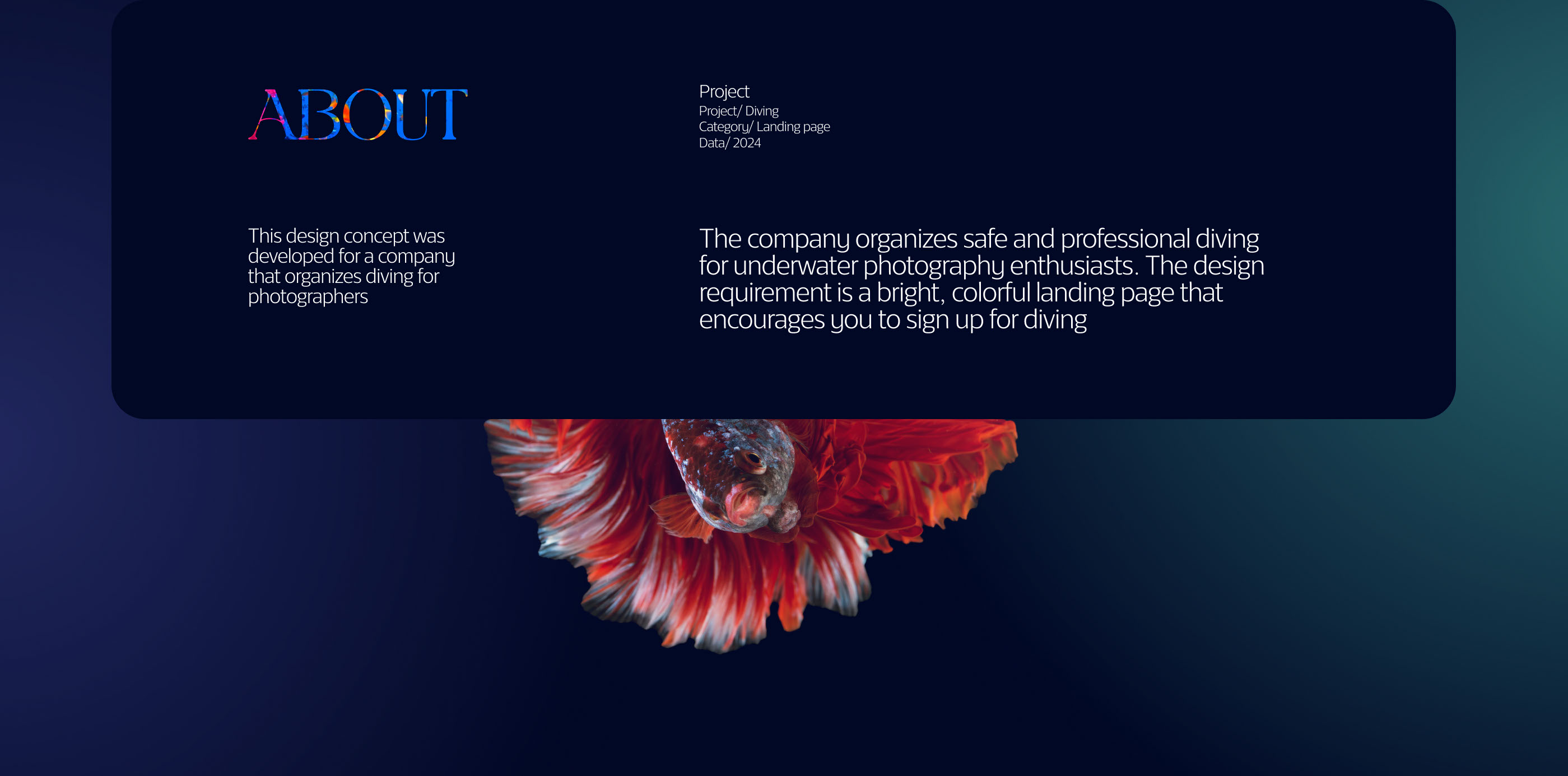 Landing Page Design for divers — Изображение №2 — Интерфейсы, Графика на Dprofile