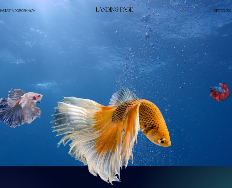 Landing Page Design for divers — Интерфейсы, Графика на Dprofile
