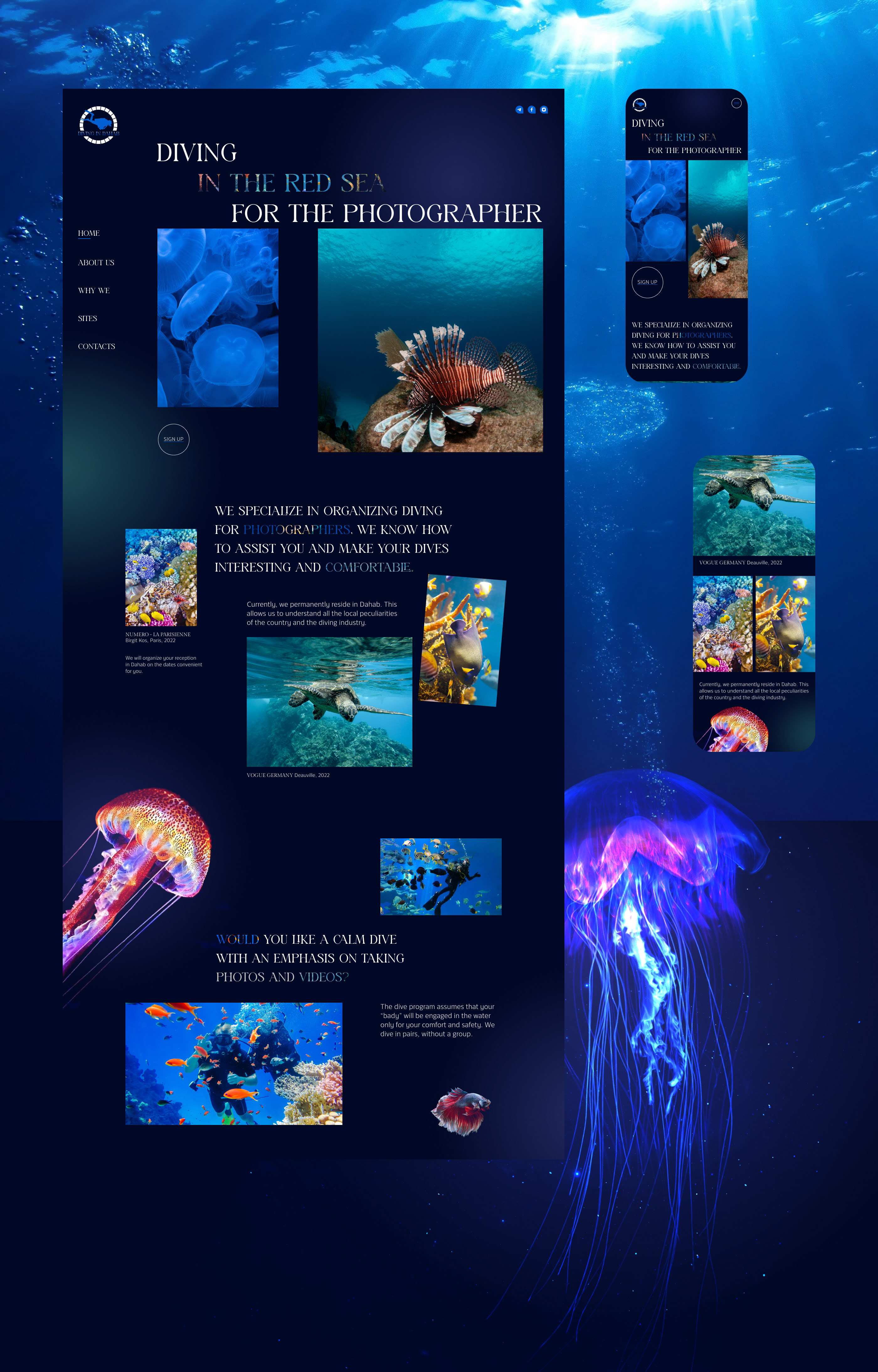 Landing Page Design for divers — Изображение №3 — Интерфейсы, Графика на Dprofile