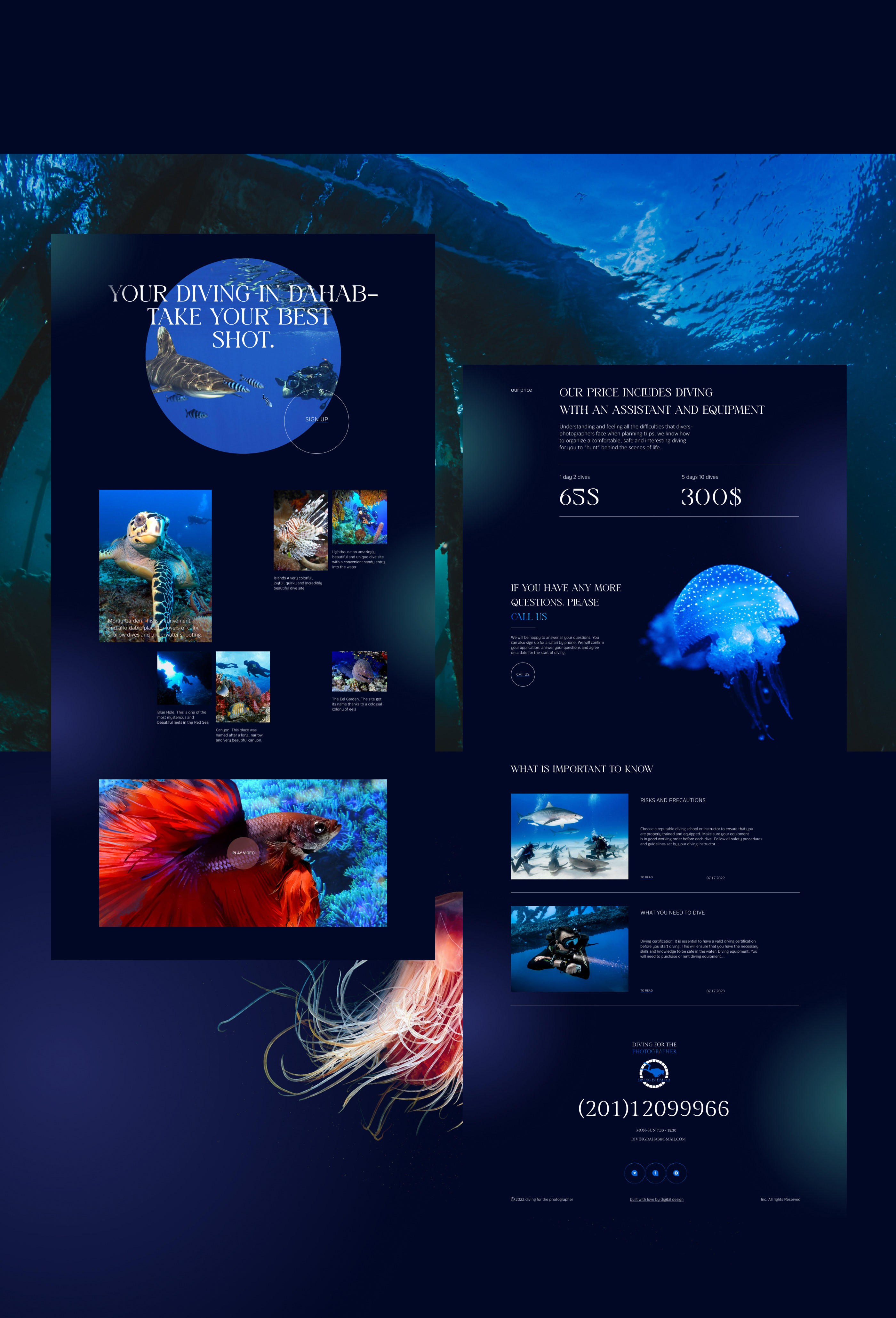 Landing Page Design for divers — Изображение №5 — Интерфейсы, Графика на Dprofile