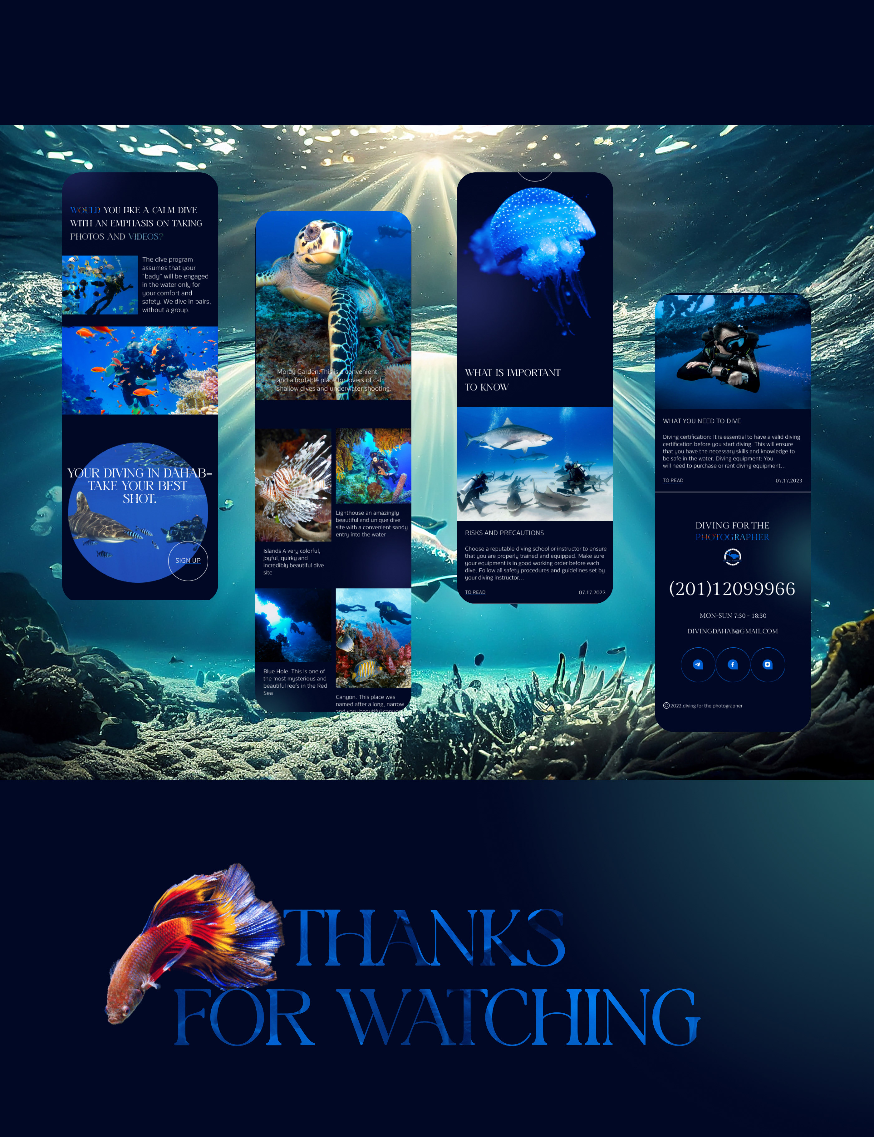 Landing Page Design for divers — Изображение №6 — Интерфейсы, Графика на Dprofile