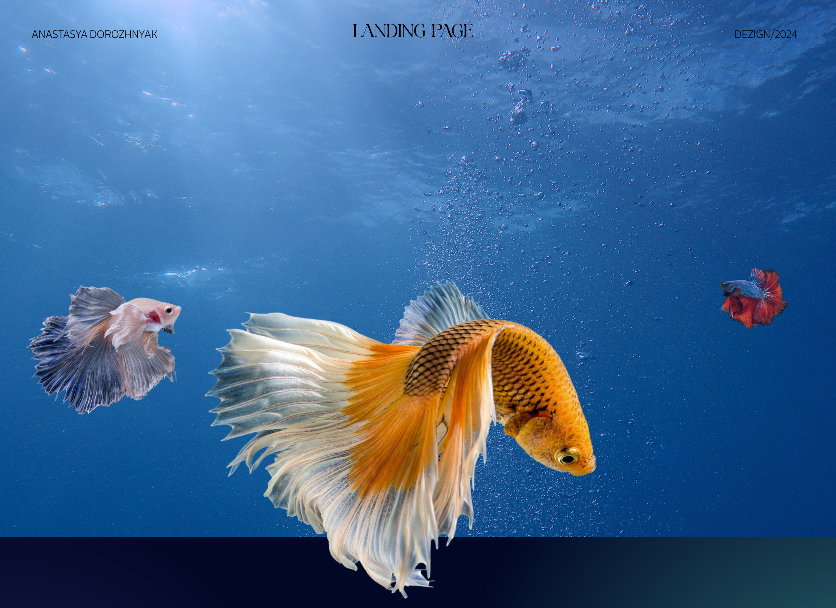 Landing Page Design for divers — Изображение №1 — Интерфейсы, Графика на Dprofile
