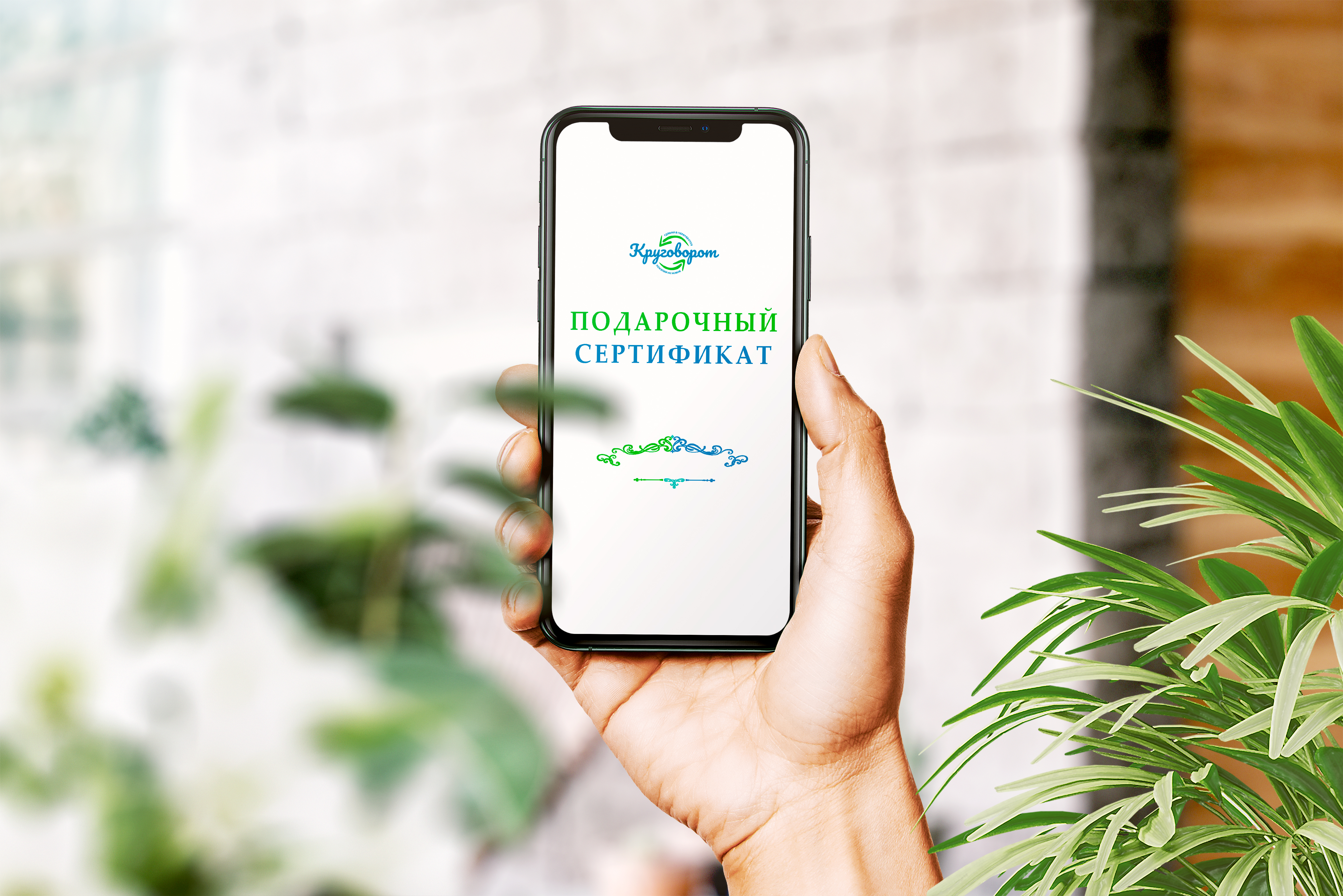 Подарочный сертификат — Изображение №2 — Графика, Маркетинг на Dprofile