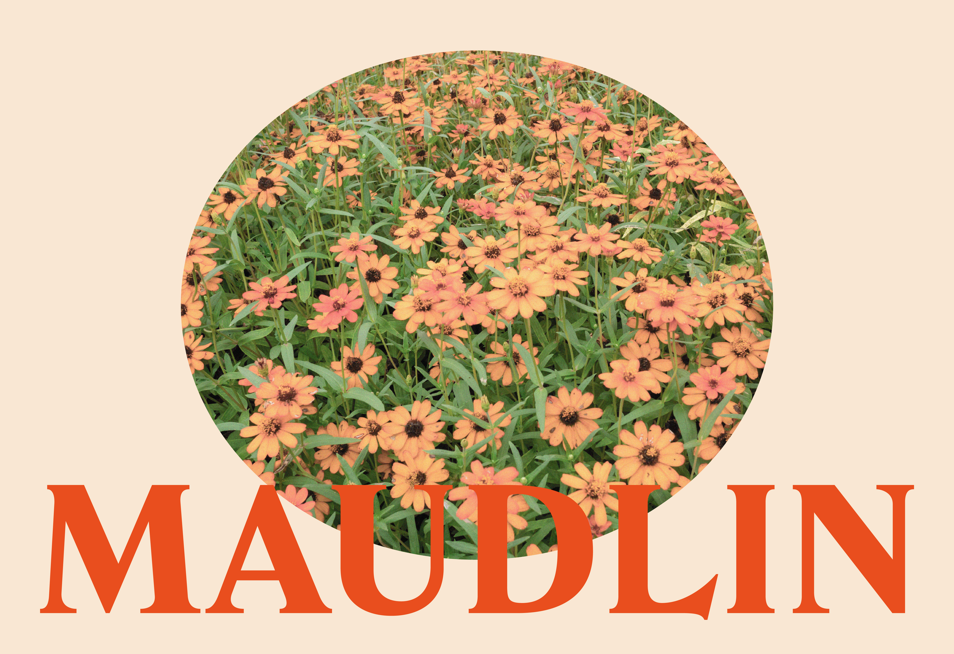 Maudlin | Бренд ароматических свечей — Изображение №1 — Брендинг, Графика на Dprofile