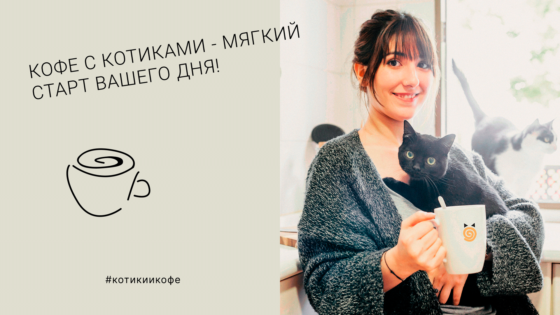 Котосфера | Cat cafe Identity — Изображение №25 — Брендинг на Dprofile