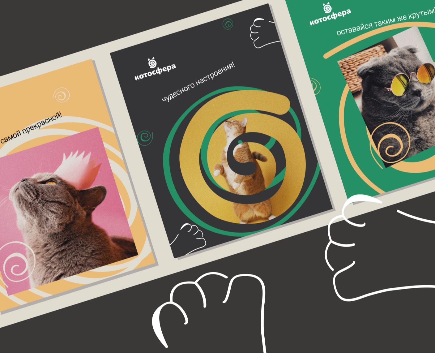 Котосфера | Cat cafe Identity — Брендинг на Dprofile