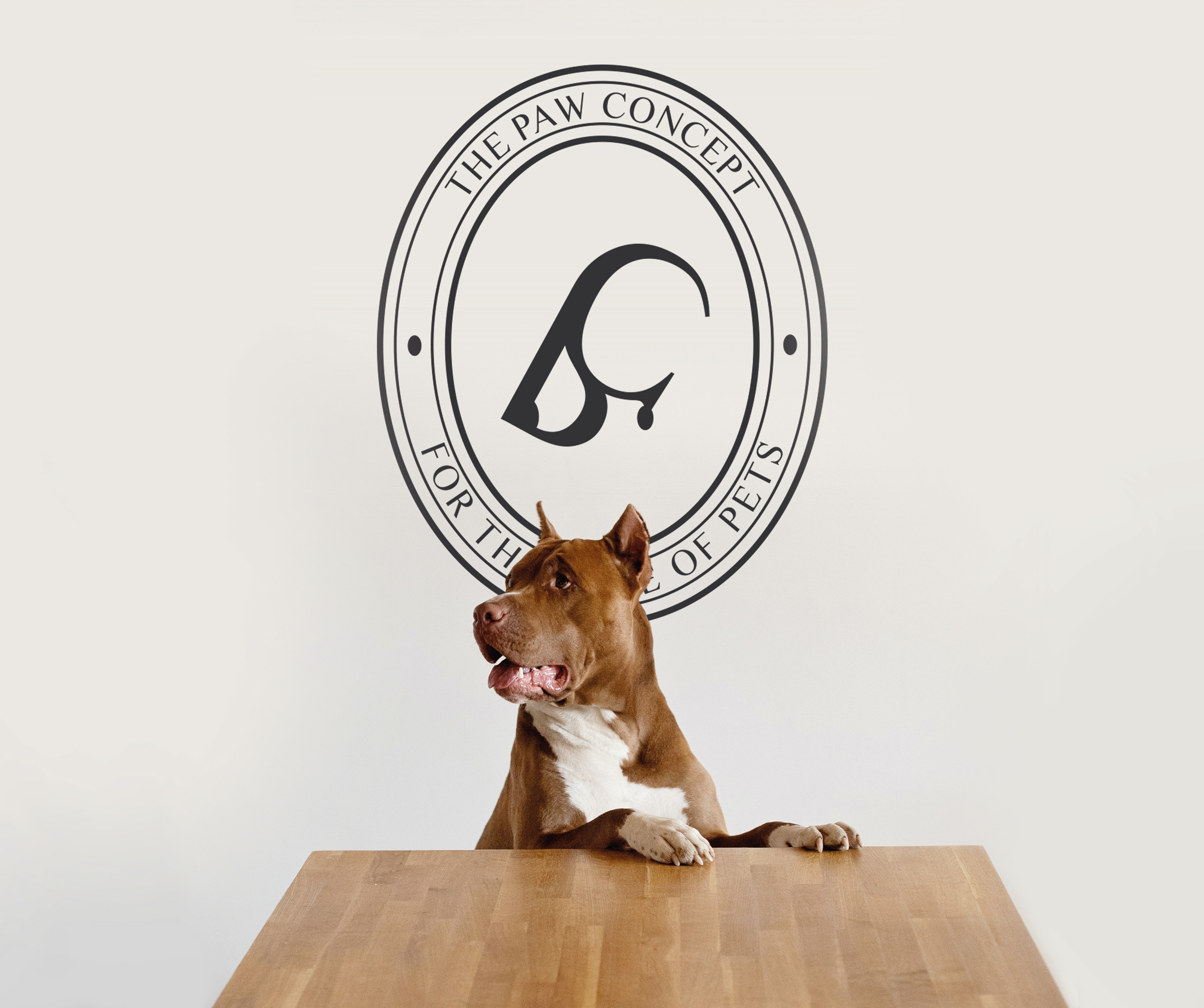 The Paw Concept - Pet's Shop in Saudi Arabia — Изображение №1 — Брендинг, Графика на Dprofile