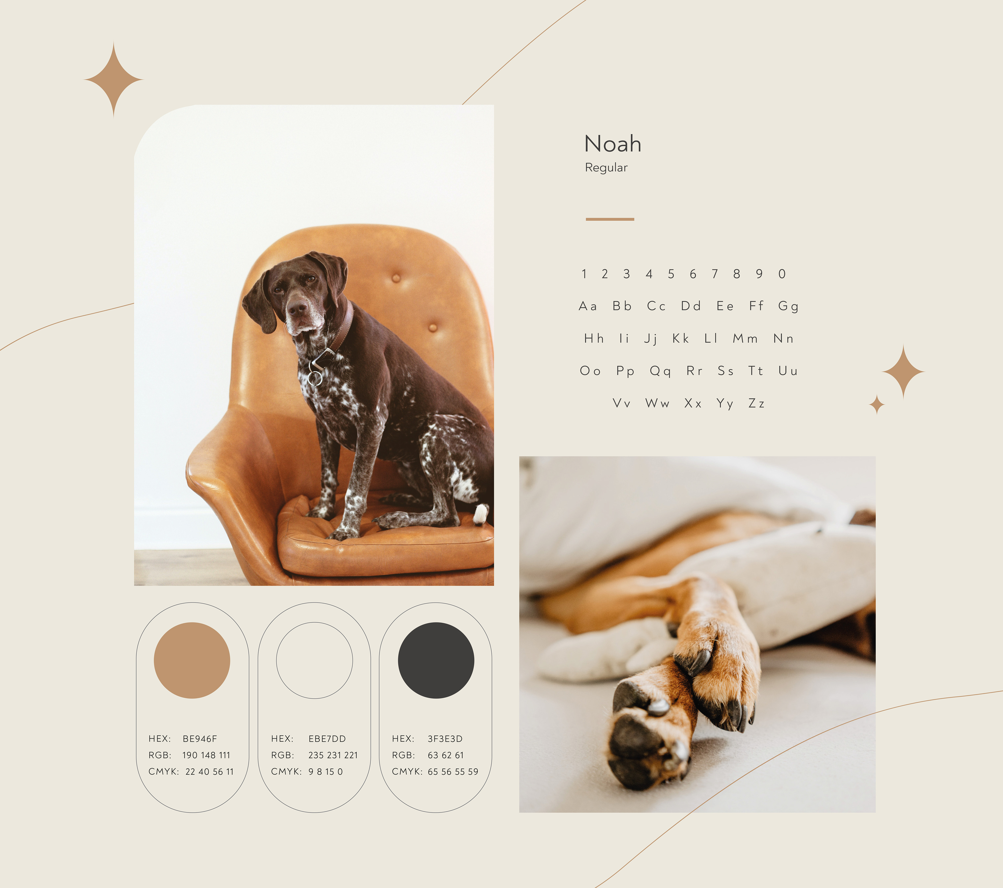 The Paw Concept - Pet's Shop in Saudi Arabia — Изображение №15 — Брендинг, Графика на Dprofile