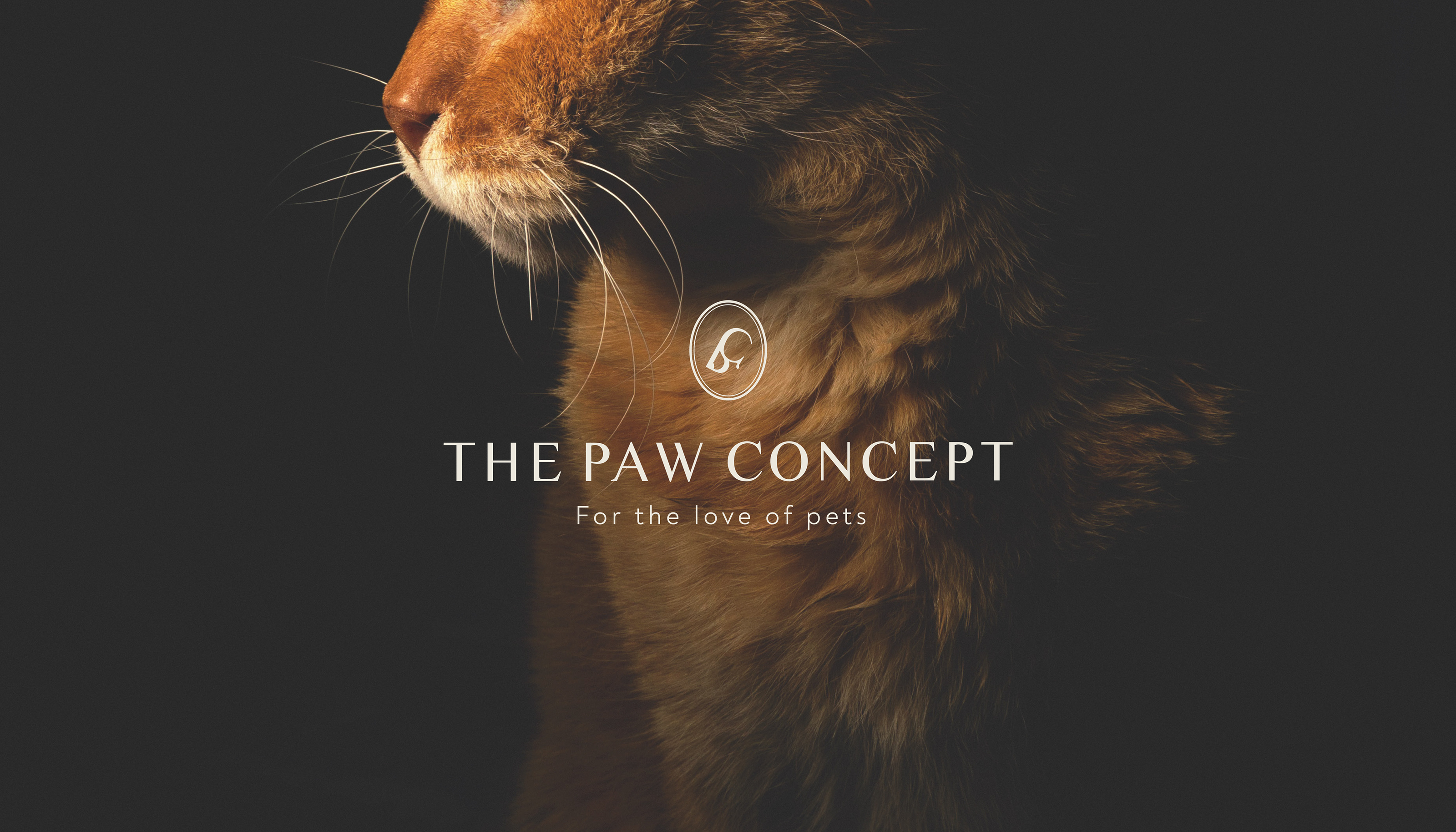 The Paw Concept - Pet's Shop in Saudi Arabia — Изображение №19 — Брендинг, Графика на Dprofile