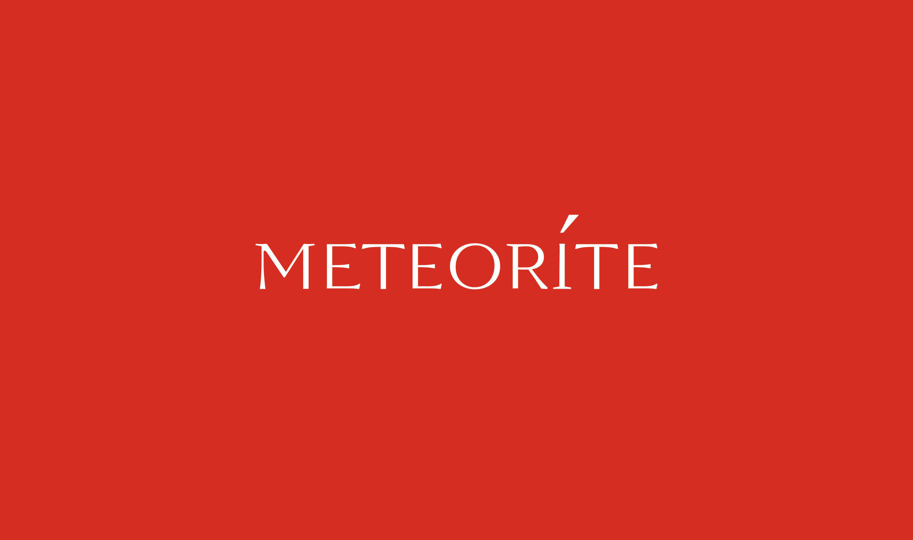 METEORITE / IDENTITY — Изображение №3 — Брендинг на Dprofile