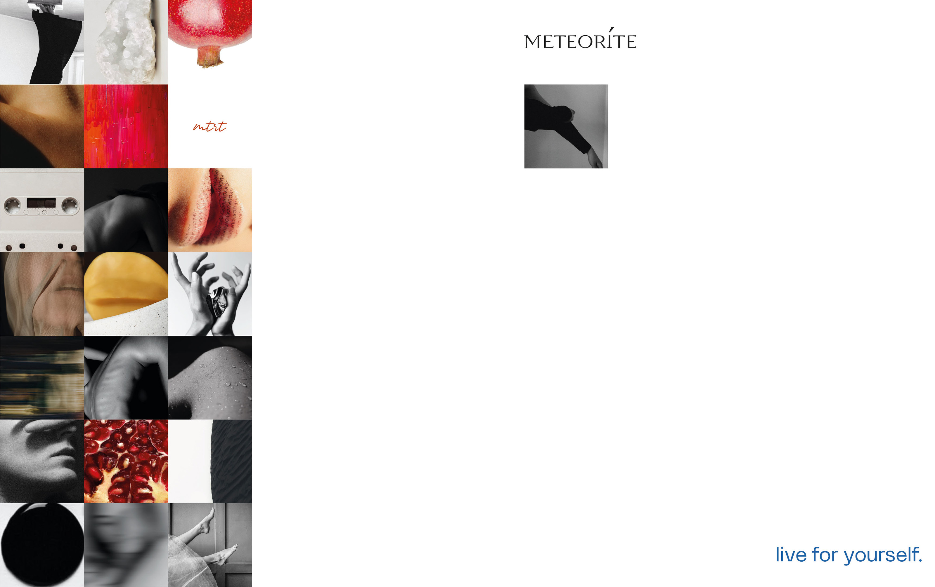 METEORITE / IDENTITY — Изображение №2 — Брендинг на Dprofile
