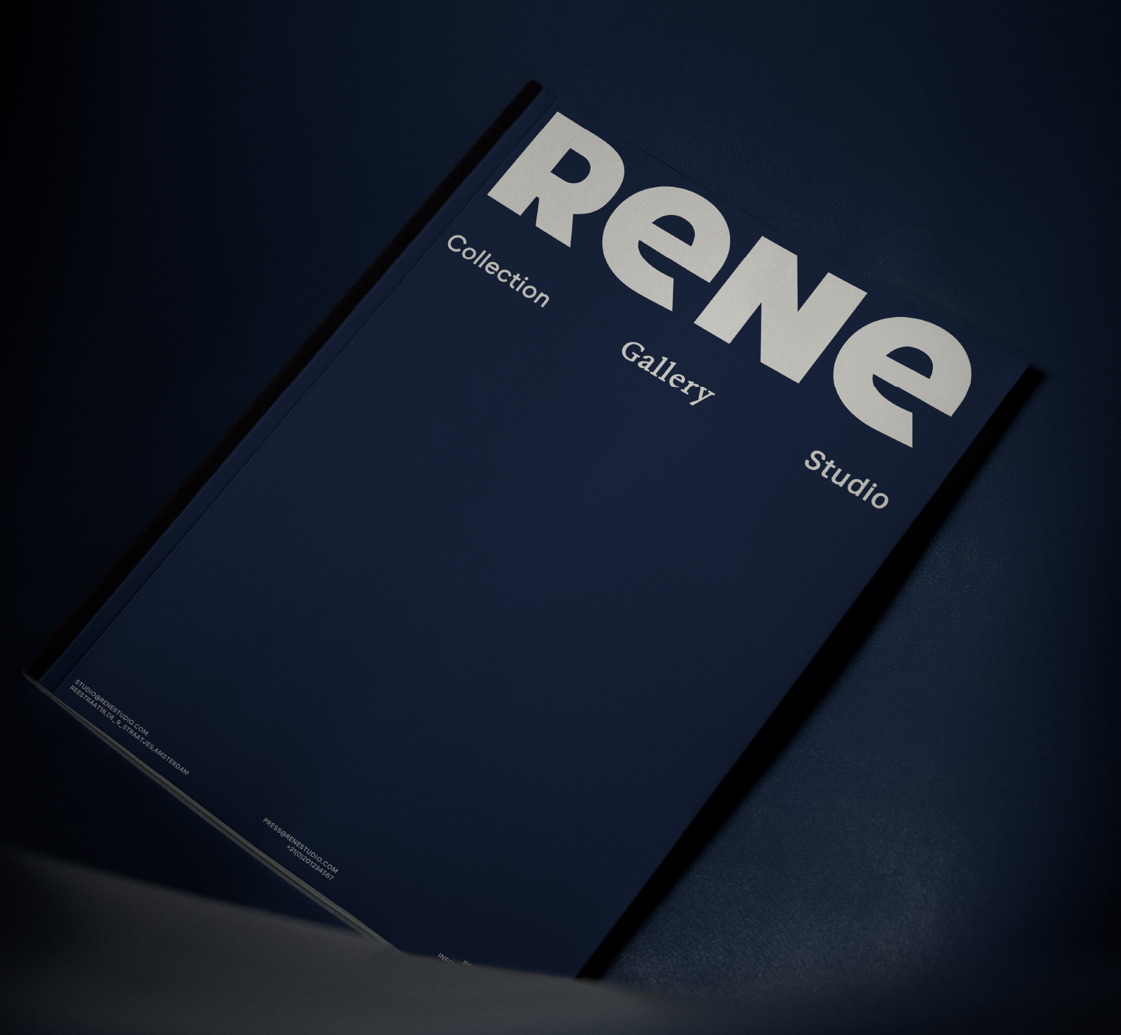 RENE / FURNITURE BRAND — Изображение №17 — Брендинг, Графика на Dprofile