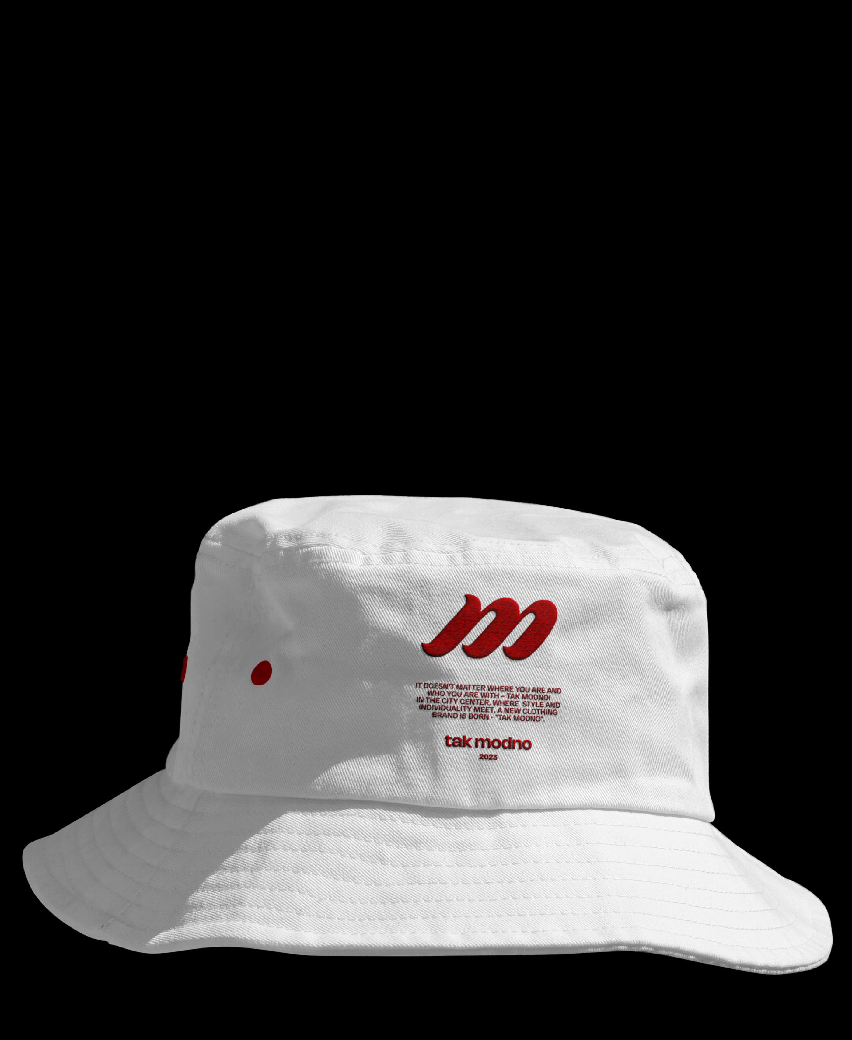 tak modno / logo for clothing brand — Изображение №13 — Брендинг, Графика на Dprofile