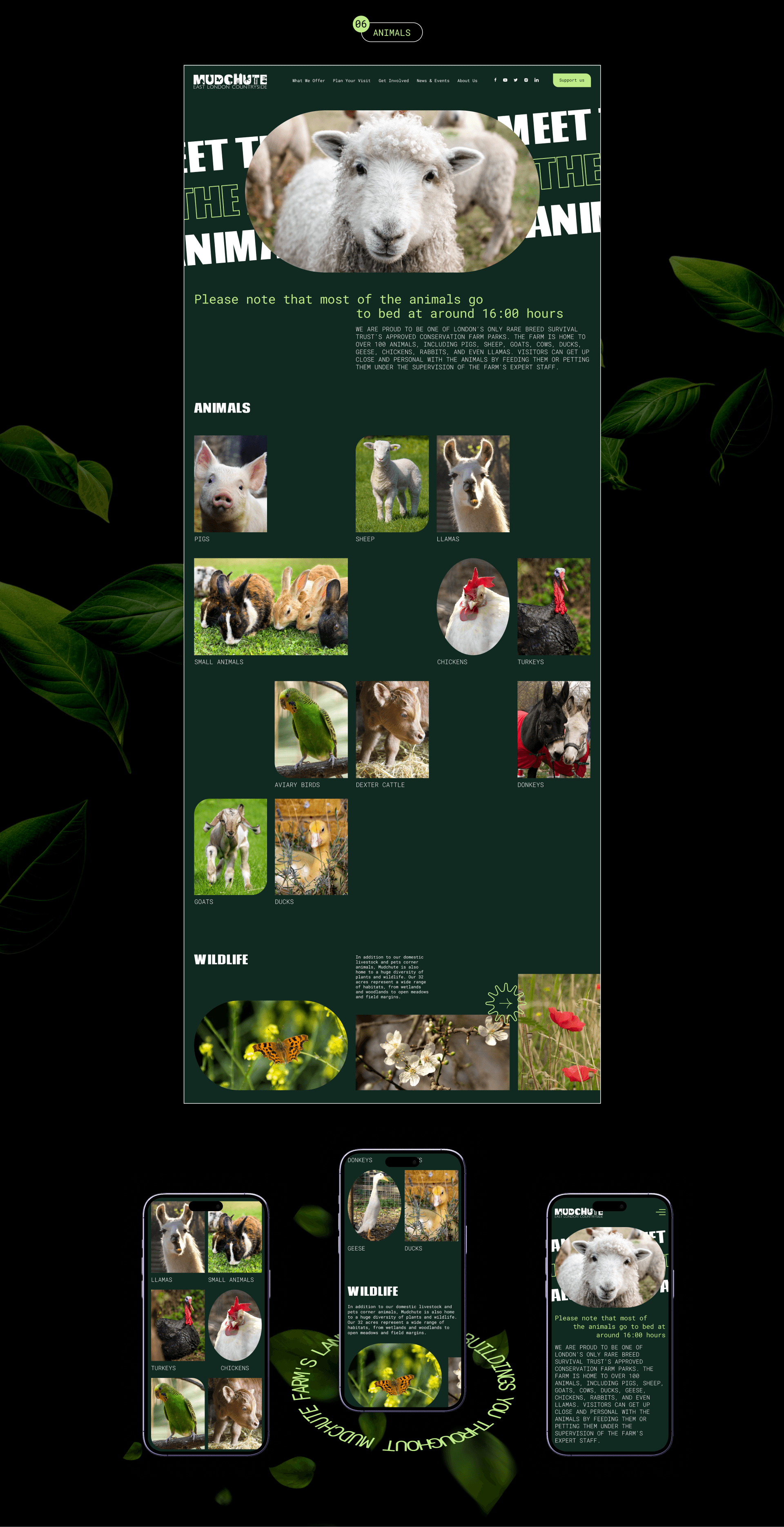 Mudchute Park&Farm | Corporate Website Redesign — Изображение №11 — Интерфейсы, Анимация на Dprofile