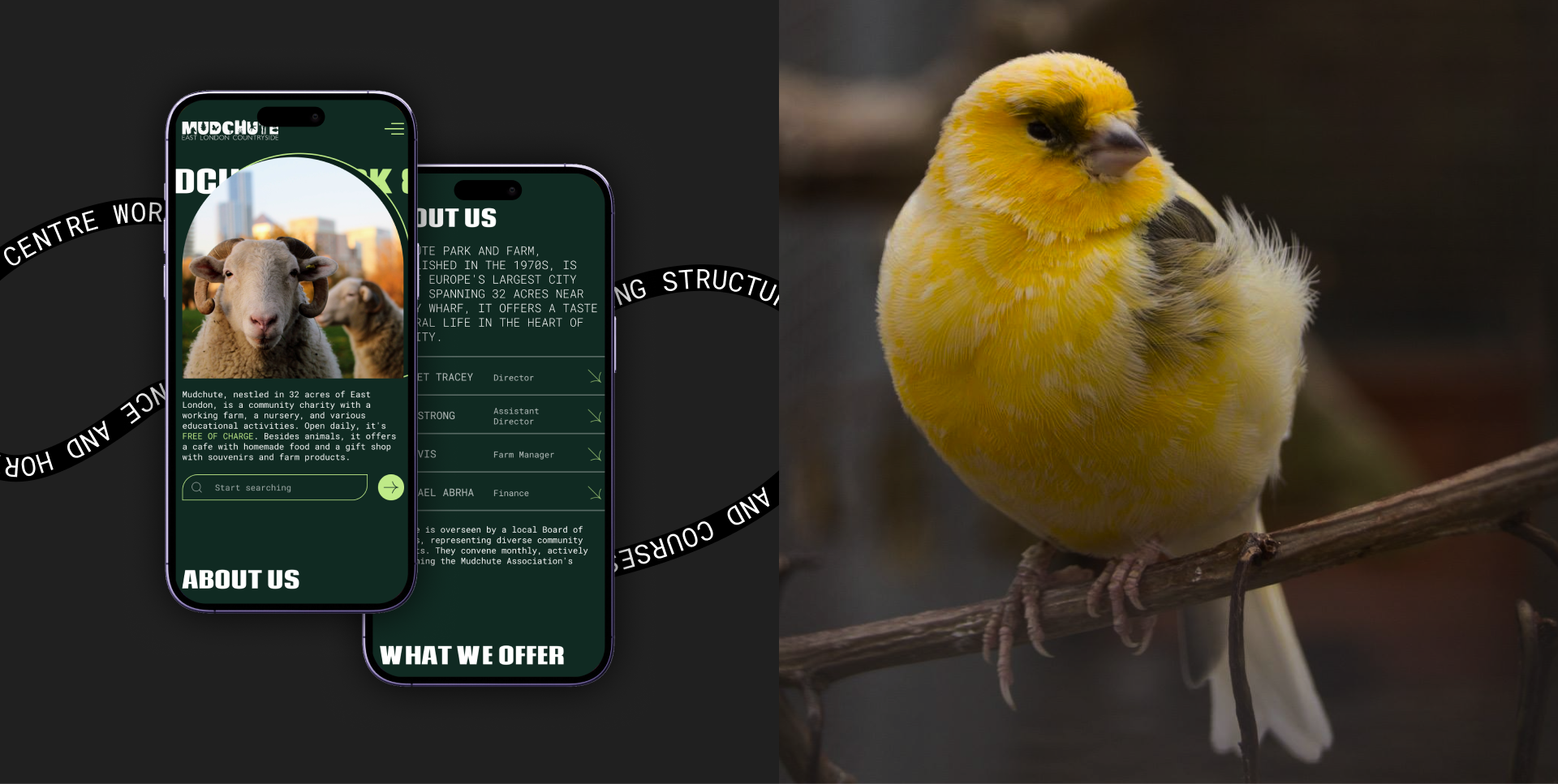 Mudchute Park&Farm | Corporate Website Redesign — Изображение №4 — Интерфейсы, Анимация на Dprofile