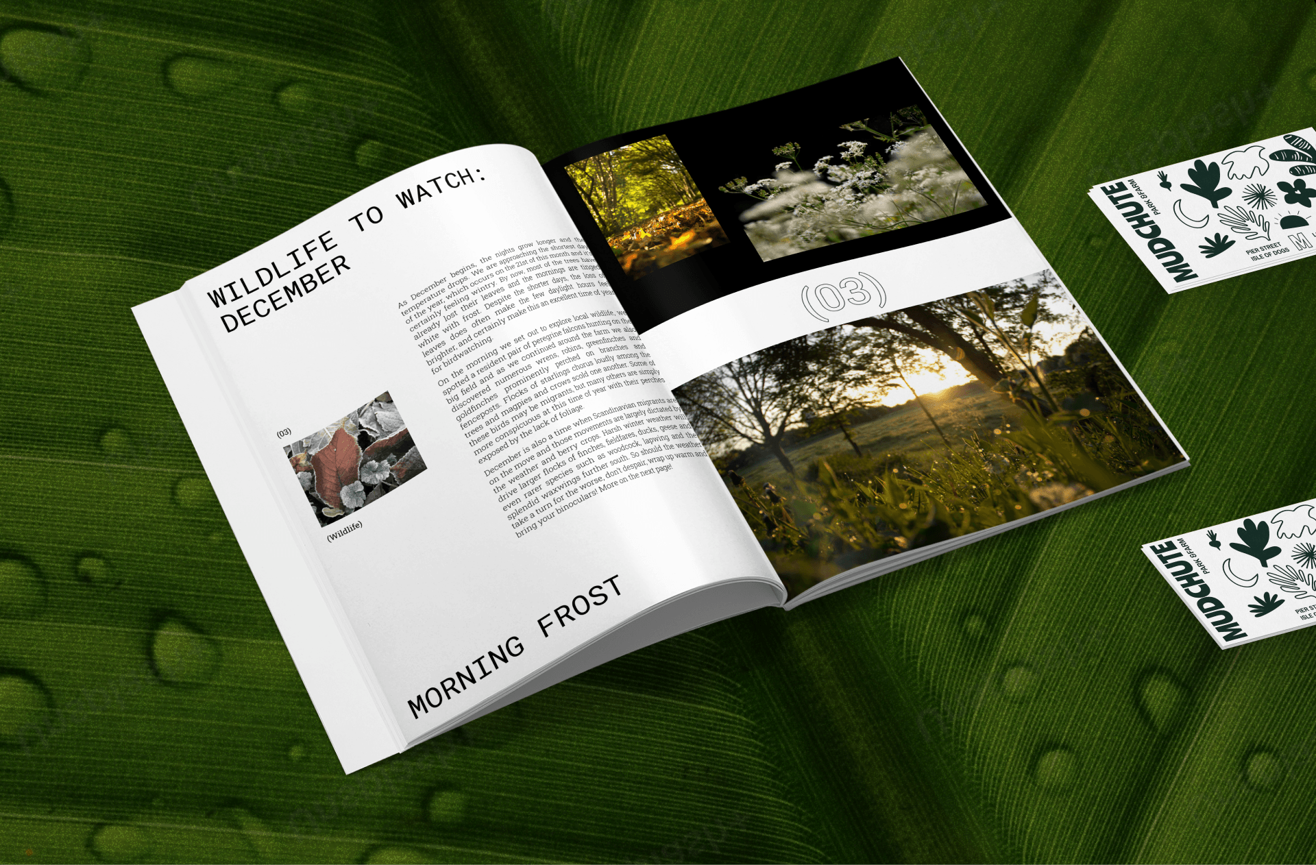 Mudchute Park&Farm | Corporate Website Redesign — Изображение №10 — Интерфейсы, Анимация на Dprofile