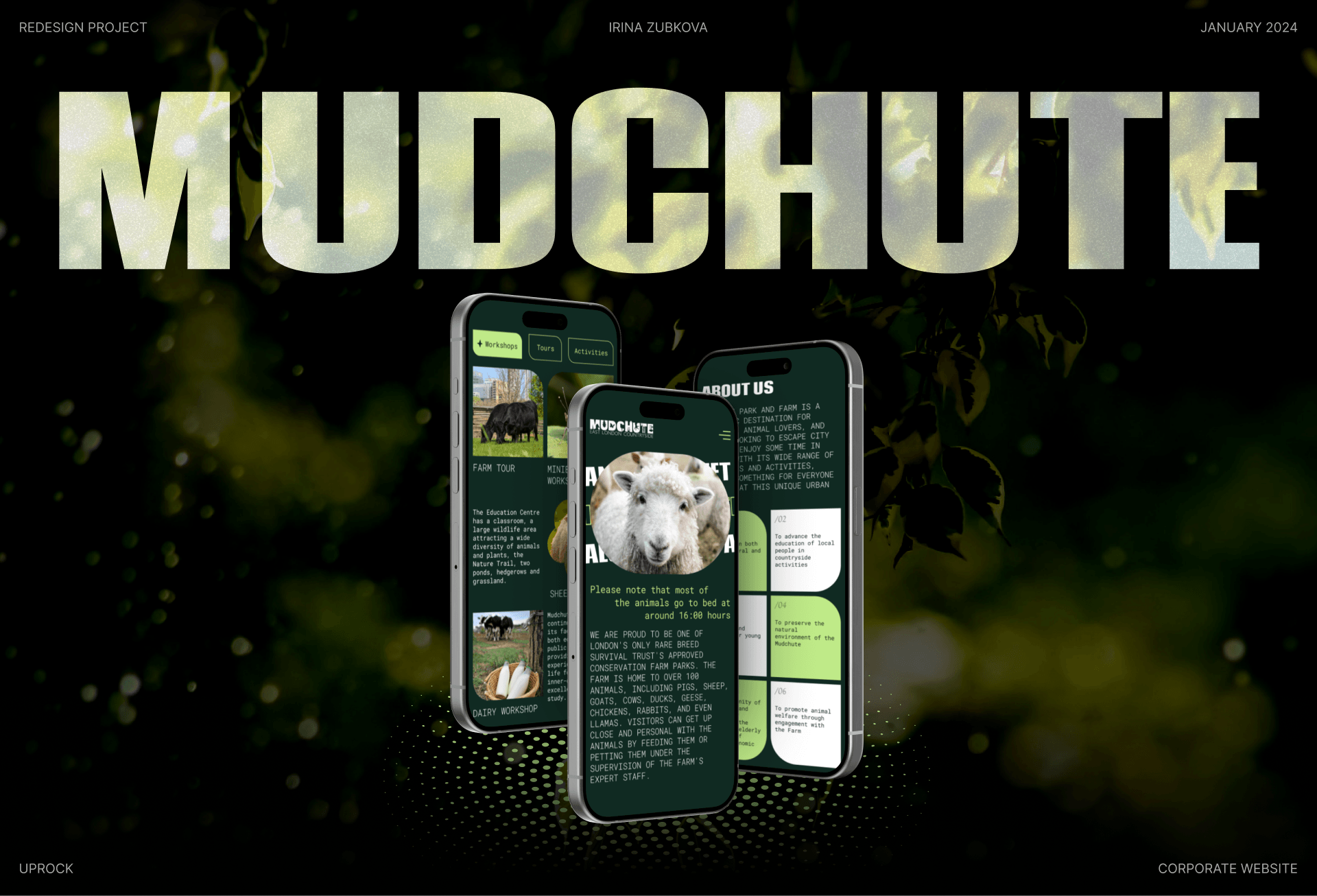 Mudchute Park&Farm | Corporate Website Redesign — Изображение №1 — Интерфейсы, Анимация на Dprofile