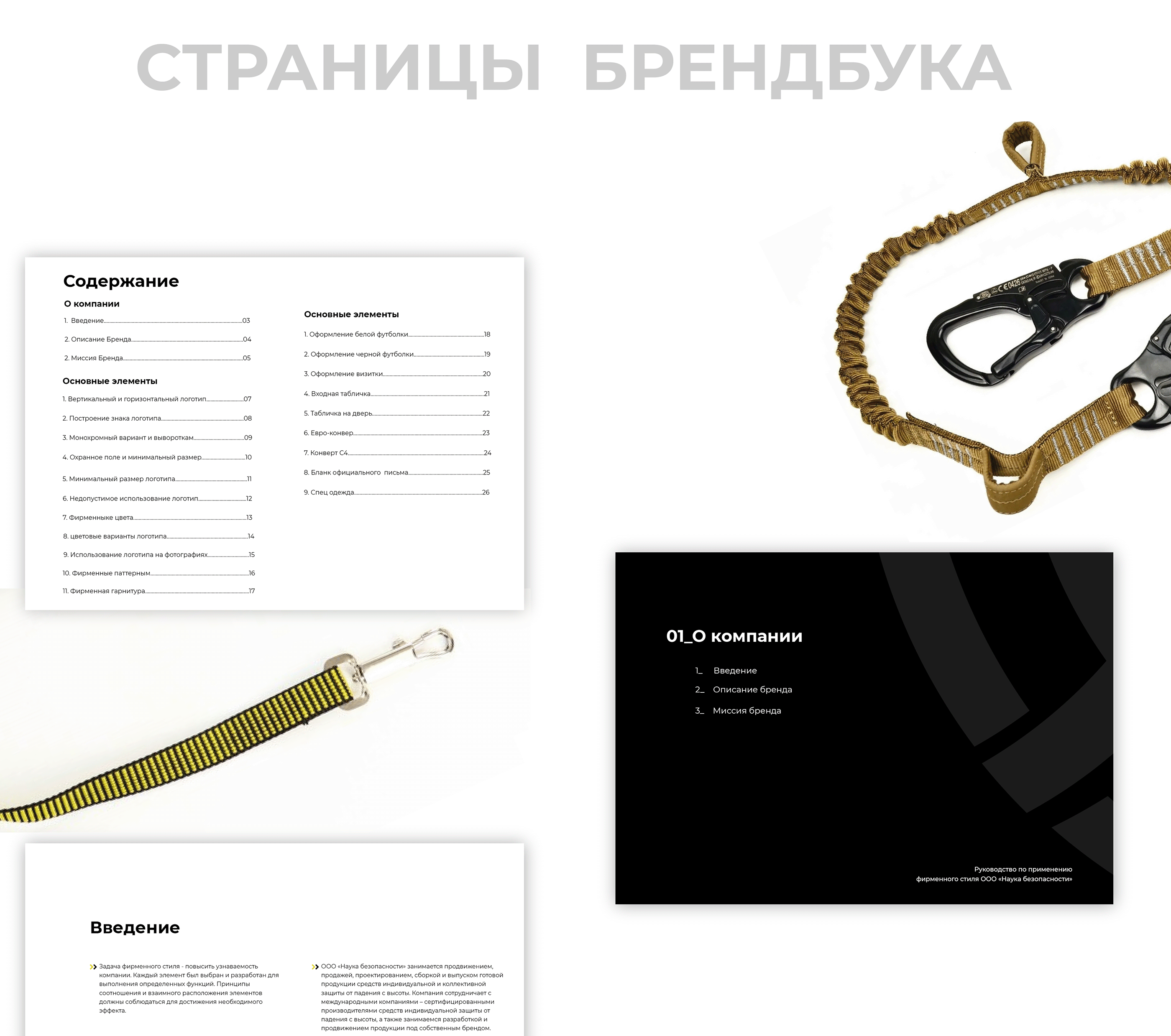 Логотип и брендбук для компании "Наука безопасности" — Изображение №8 — Брендинг на Dprofile