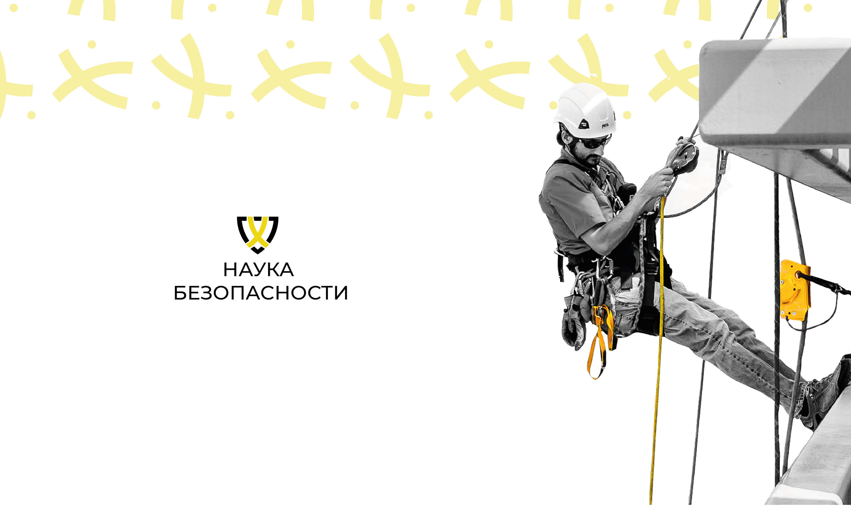 Логотип и брендбук для компании "Наука безопасности" — Изображение №1 — Брендинг на Dprofile