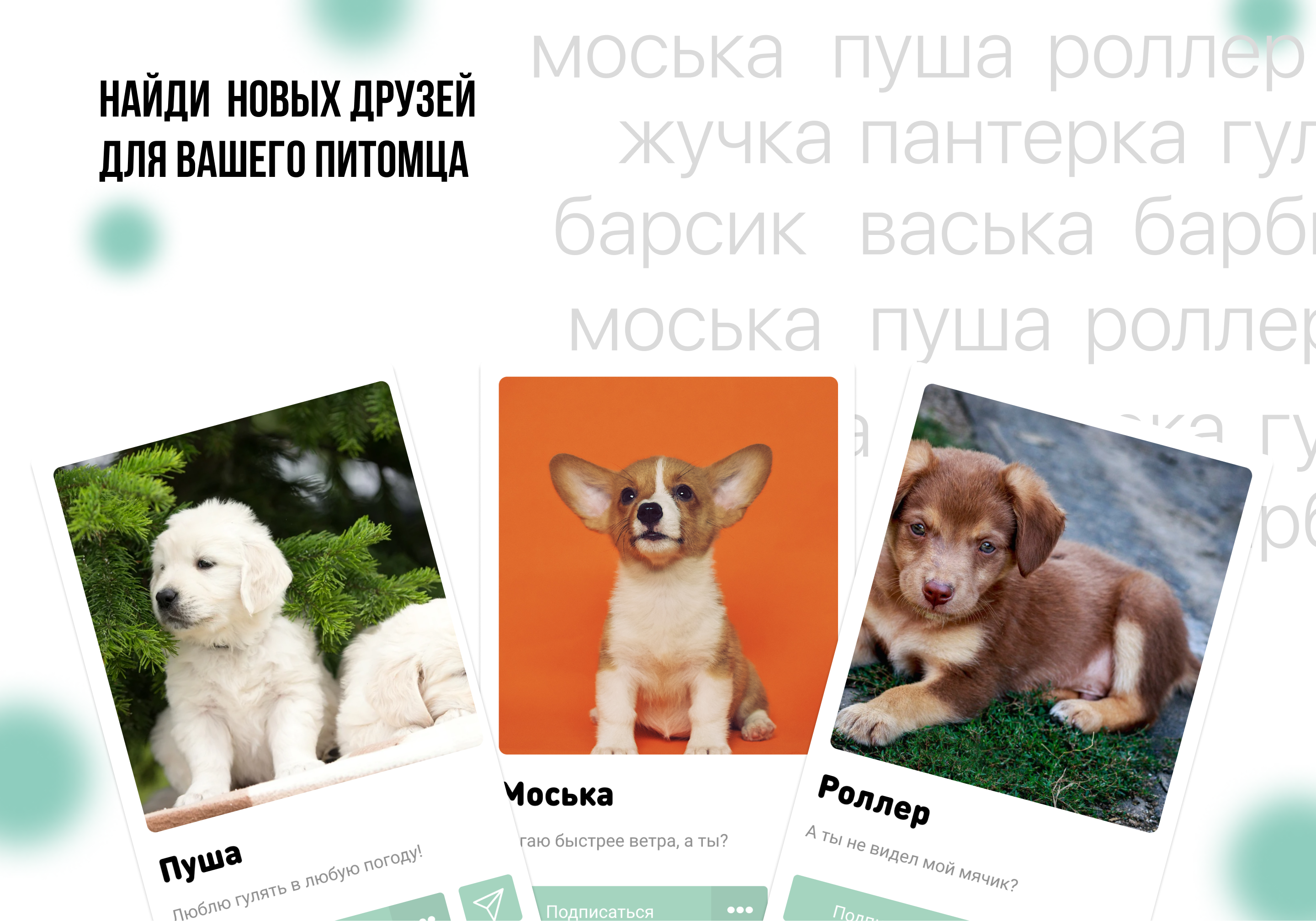 UX/UI разработка сайта социальной сети для животных — Изображение №5 — Интерфейсы на Dprofile