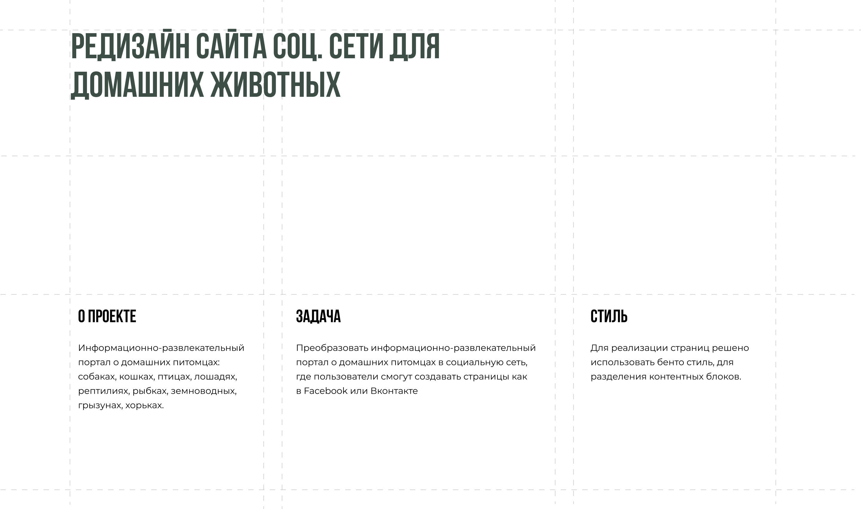 UX/UI разработка сайта социальной сети для животных — Изображение №2 — Интерфейсы на Dprofile