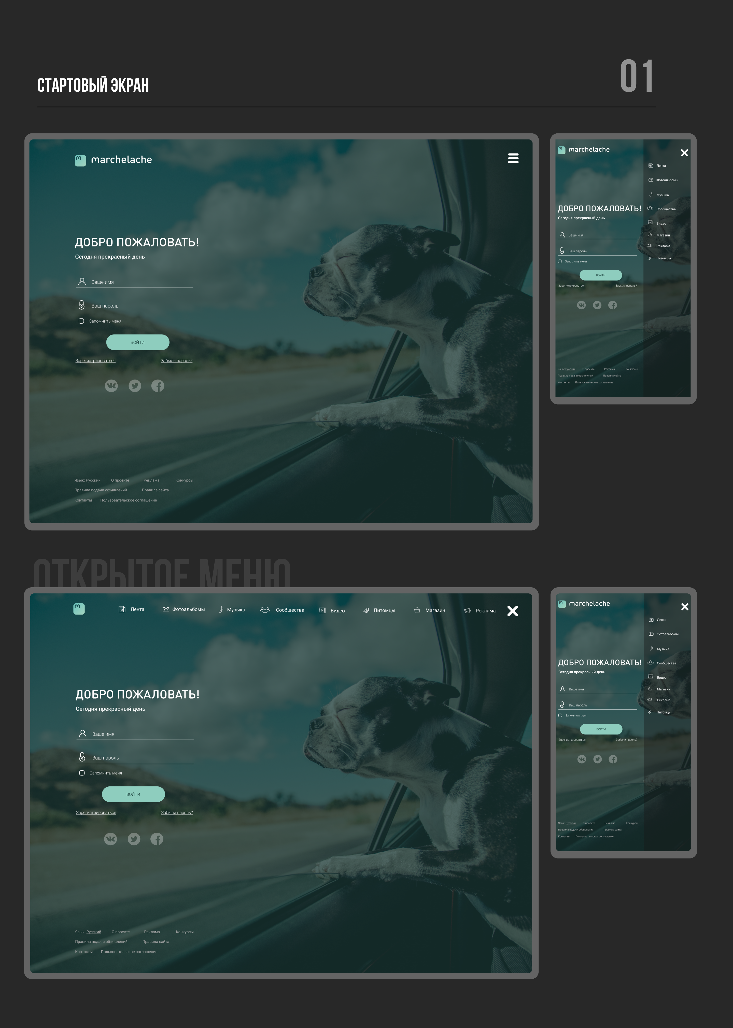 UX/UI разработка сайта социальной сети для животных — Изображение №4 — Интерфейсы на Dprofile