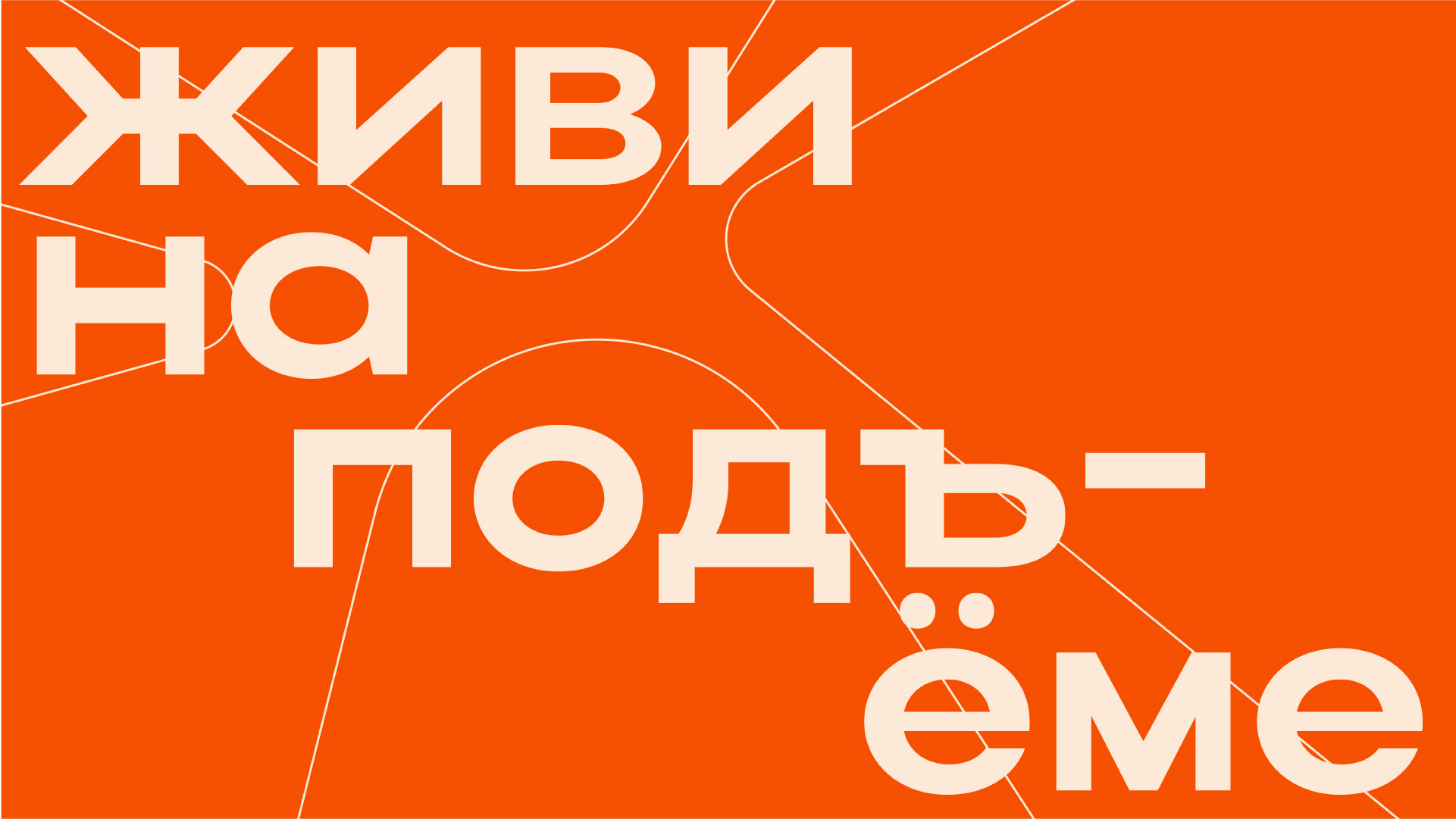 Shermont | identity — Изображение №2 — Брендинг на Dprofile