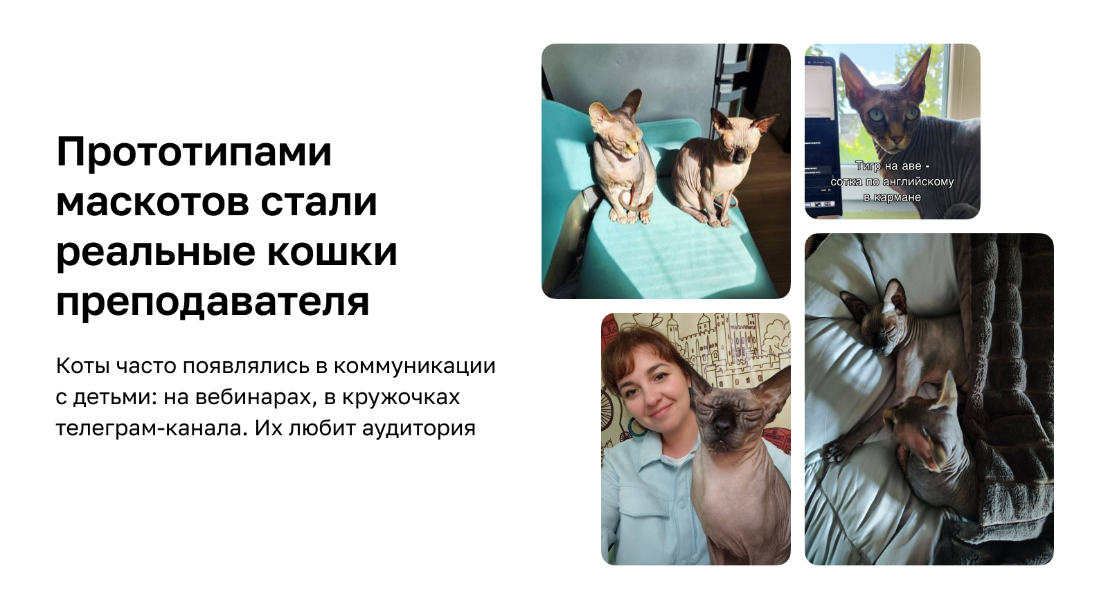 Создание стикеров для Школково — Изображение №3 — Иллюстрация, Маркетинг на Dprofile