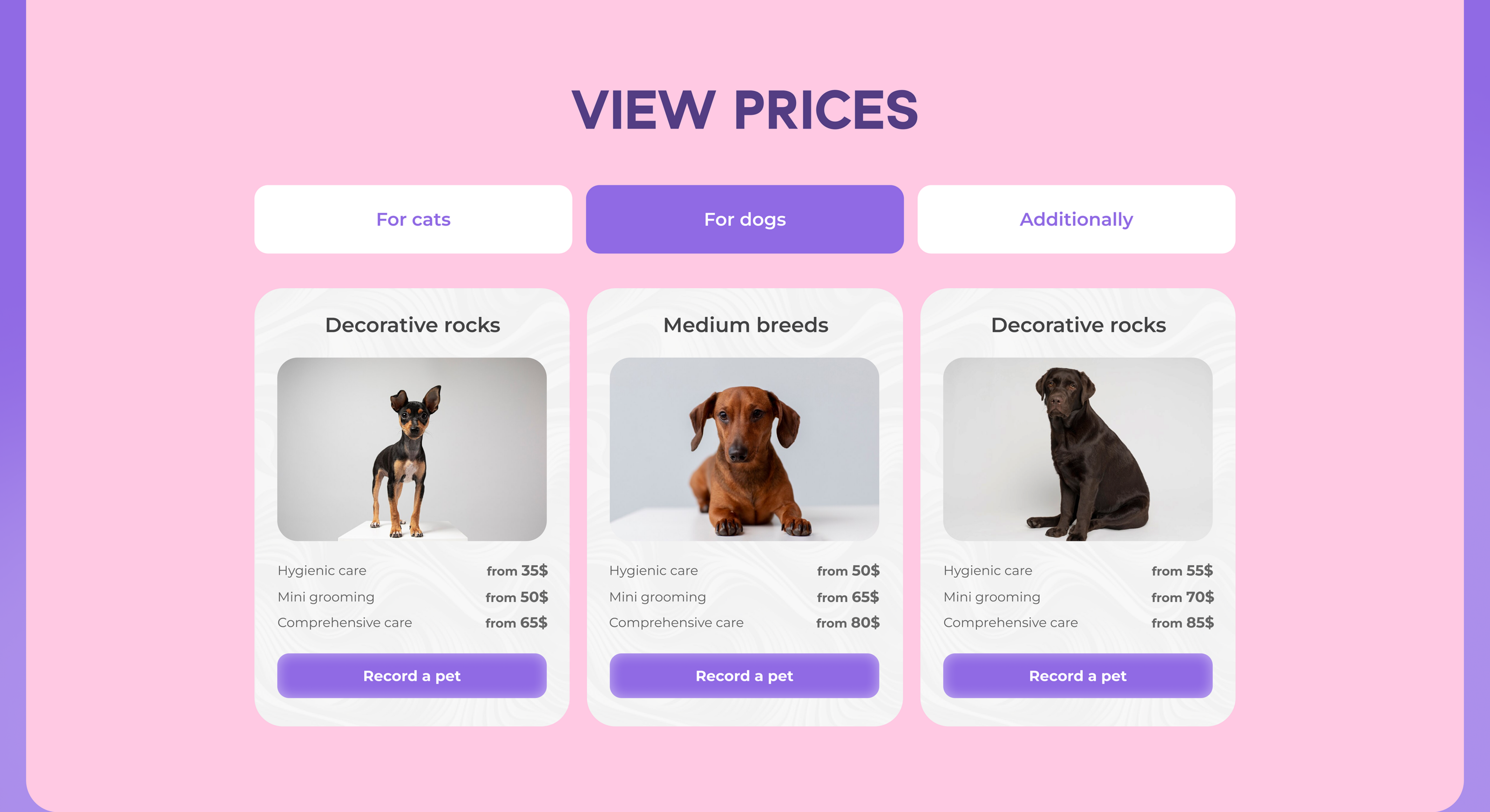 Website for a grooming salon/груминг салон — Изображение №5 — Интерфейсы на Dprofile